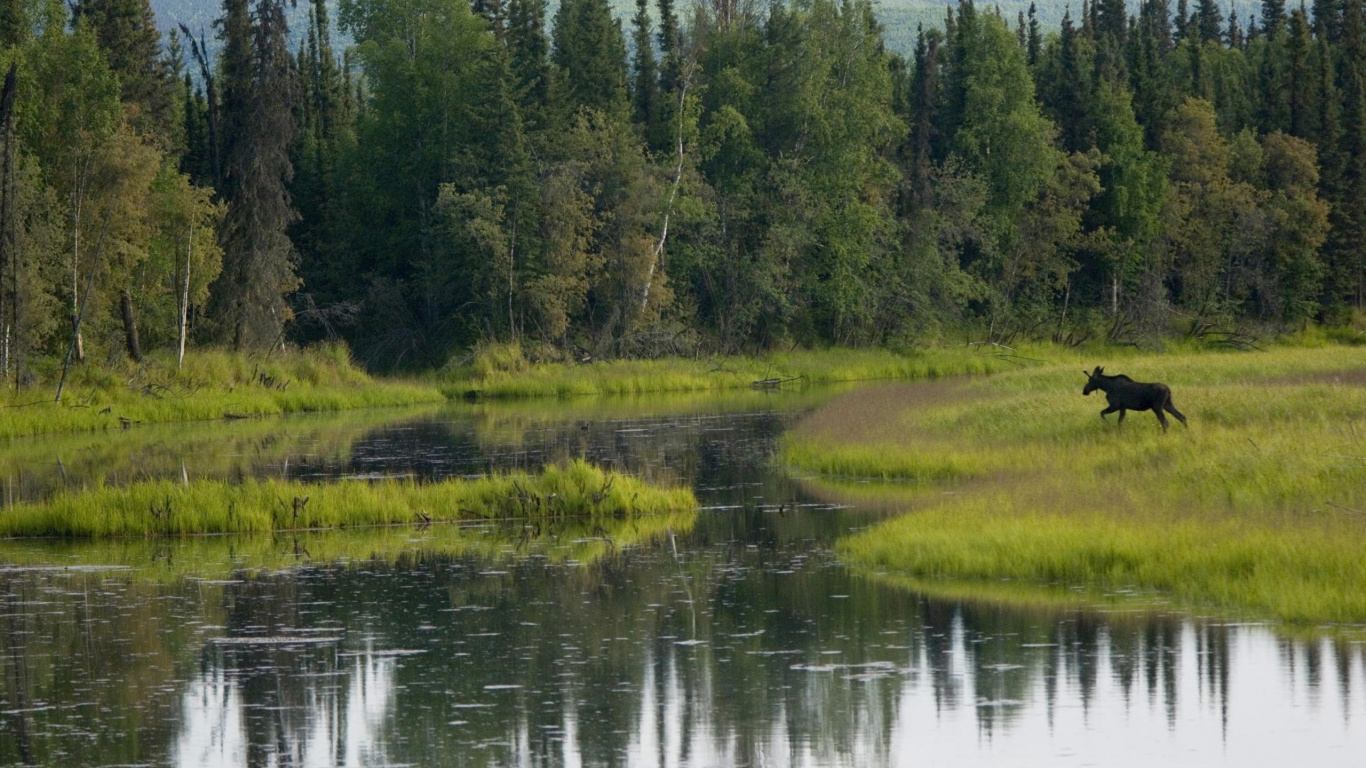 Обои природа, дикая местность, отражение, природный заповедник, сенокосное угодье в разрешении 1366x768