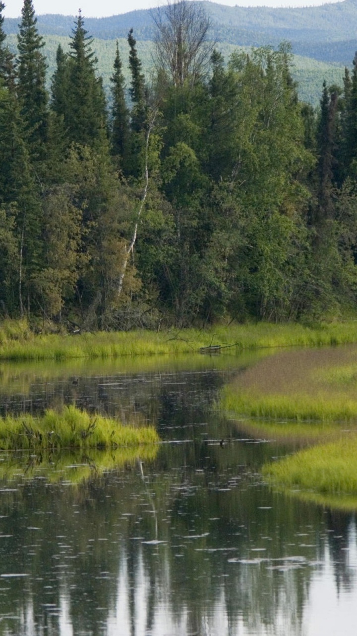 Обои природа, дикая местность, отражение, природный заповедник, сенокосное угодье в разрешении 720x1280