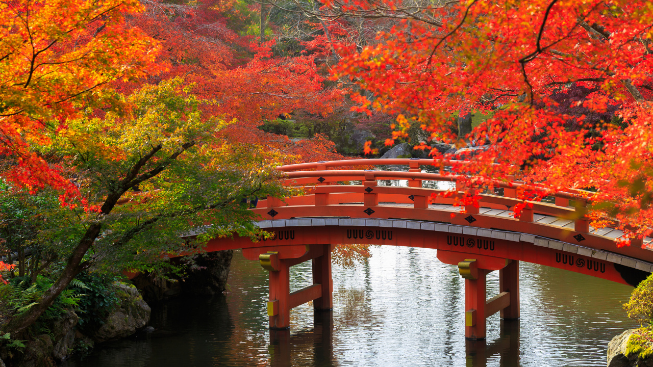 Обои осень в Японии, Япония, осень, сезон, дерево в разрешении 1280x720