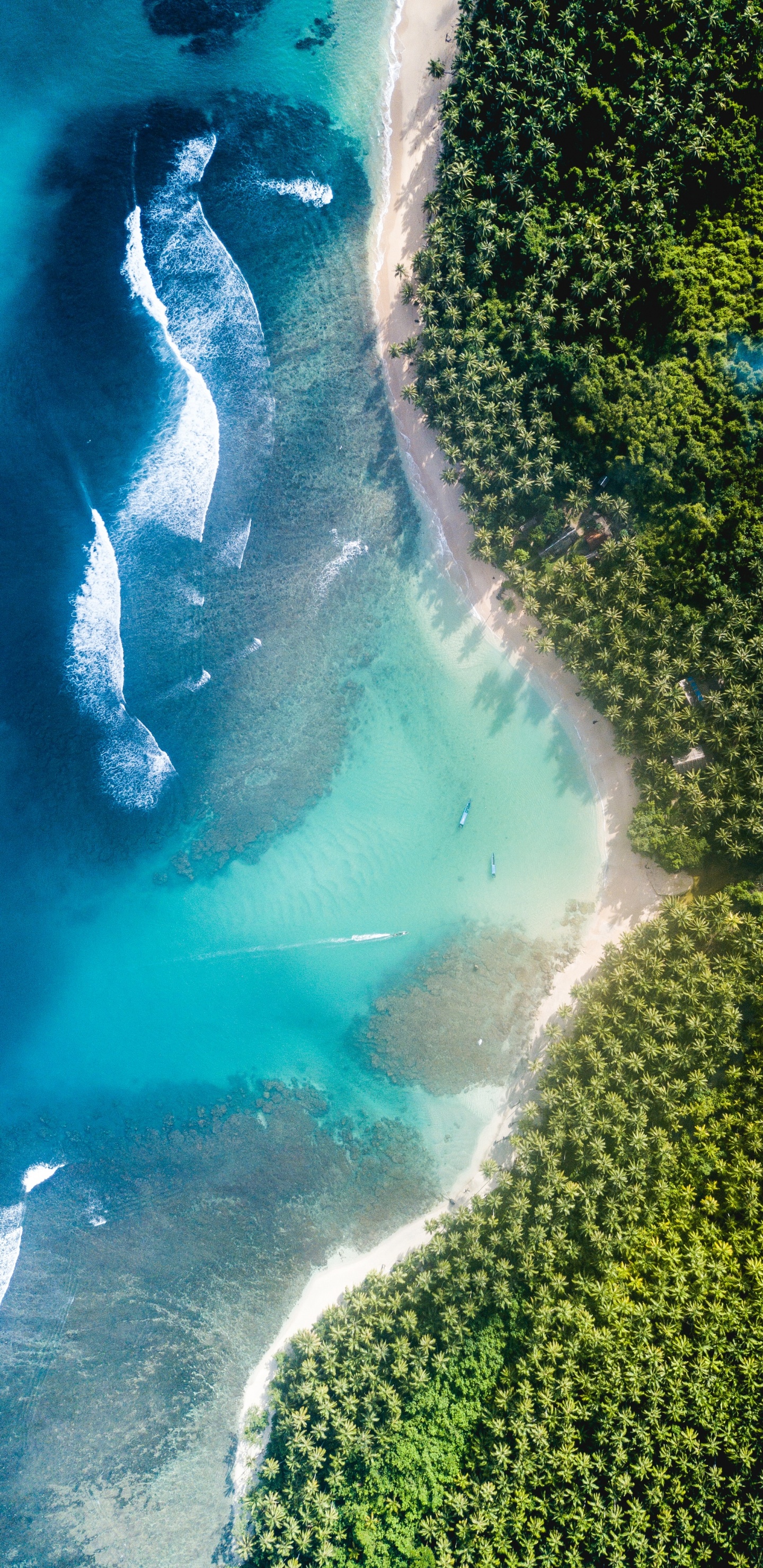 Обои океан, море, вода, гидроресурсы, лазурный в разрешении 1440x2960