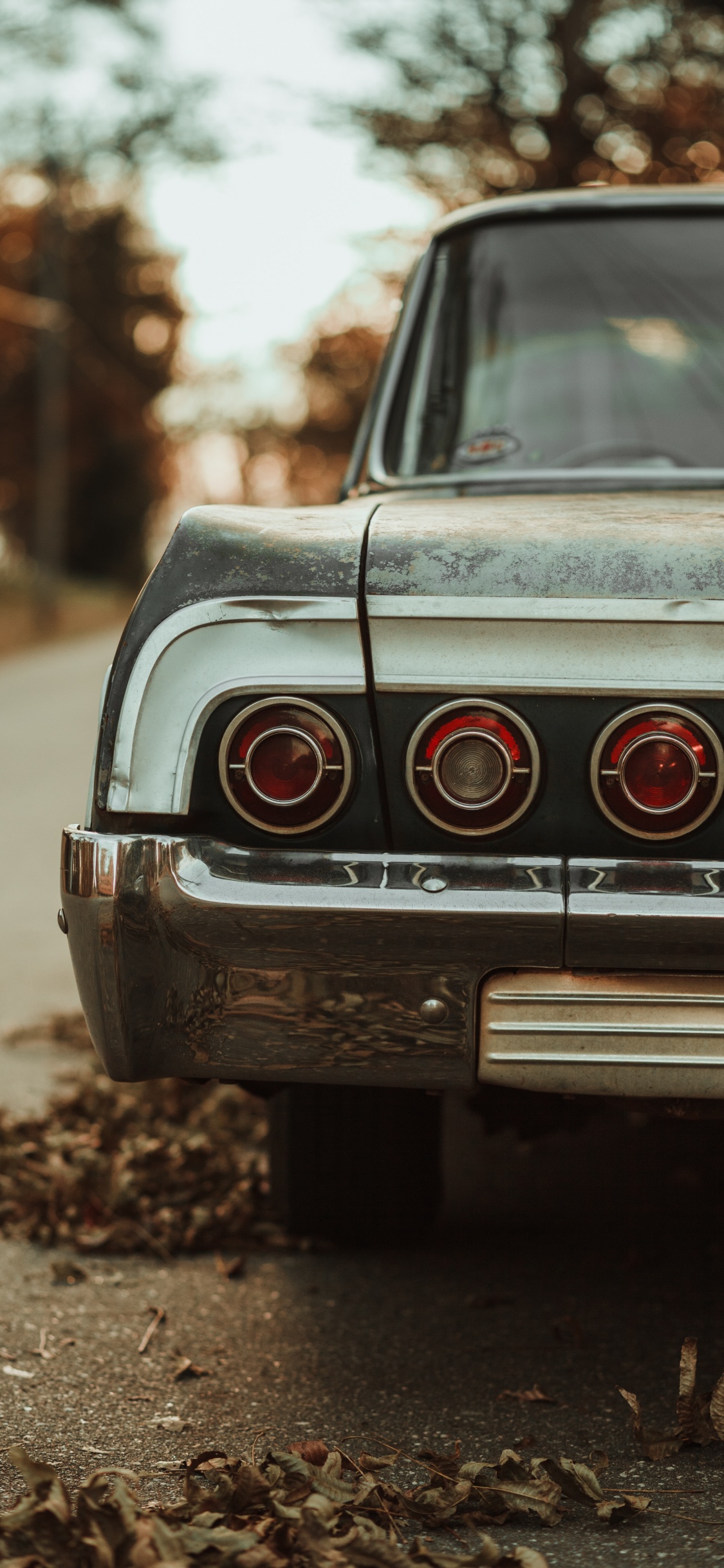 Обои семейный автомобиль, классический автомобиль, автомобильное освещение, автомобильный экстерьер, седан в разрешении 1125x2436