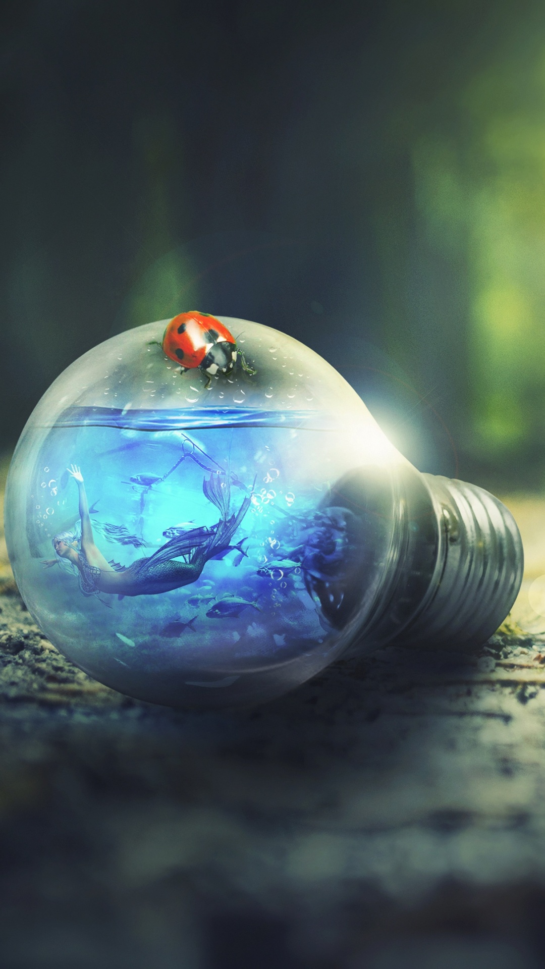 Обои свет, окружающая среда, сфера, вода, отражение в разрешении 1080x1920