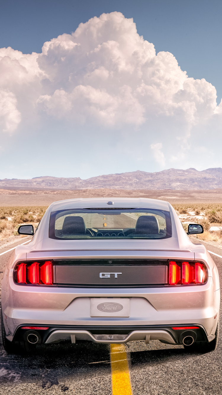 Обои Форд Мустанг, авто, ford gt, спорткар, мускул кар в разрешении 750x1334