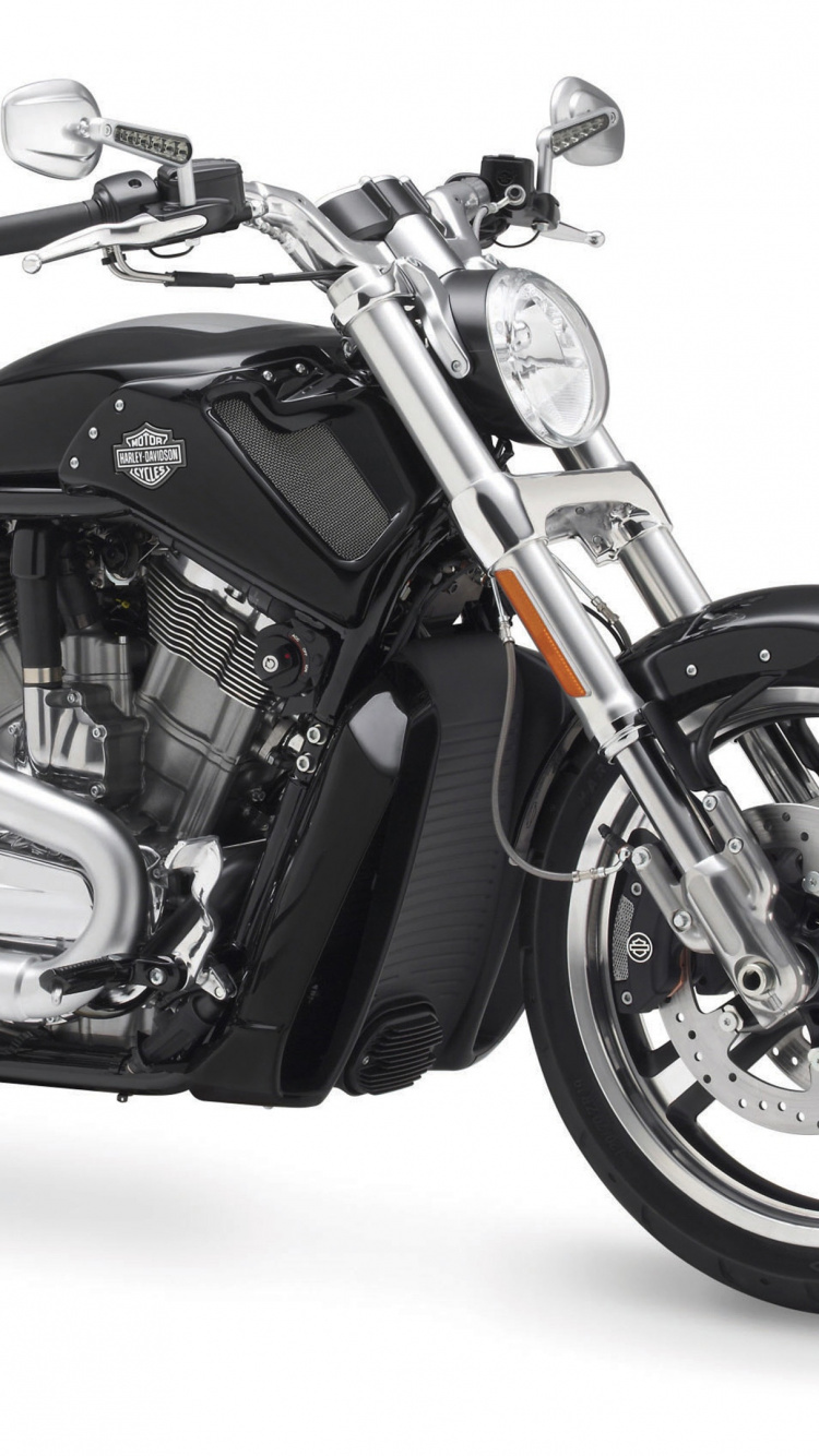 Обои мотоцикл, крейсер, аксессуары для мотоциклов, Обтекатель мотоцикла, harley davidson vrsc в разрешении 750x1334