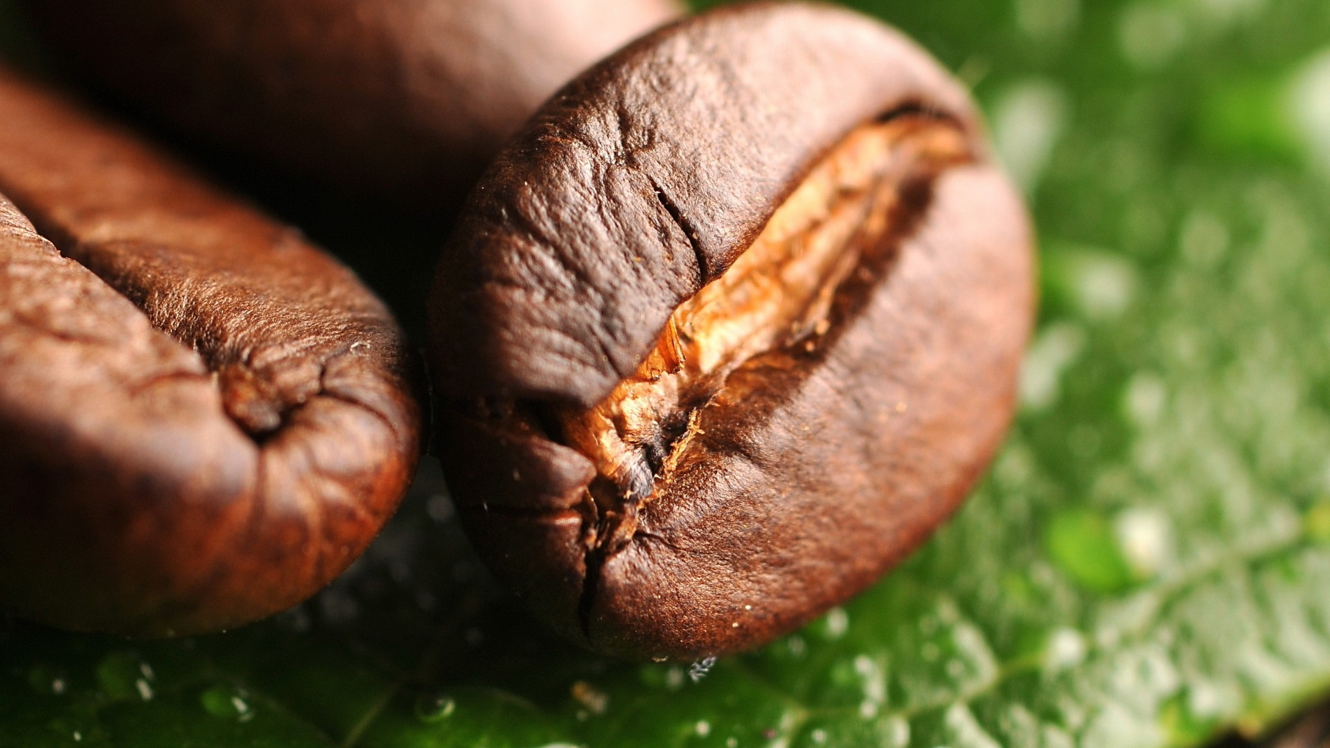 Обои кофе эспрессо, кофейное зерно, Кона кофе, какао боб, макросъемка в разрешении 1920x1080
