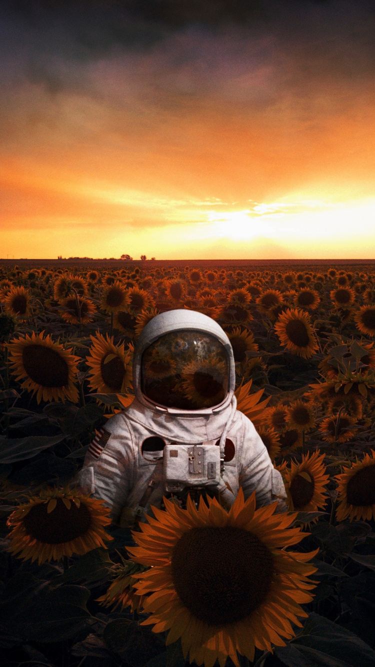 Обои космонавт в поле, астронавт, облако, растение, экорегион в разрешении 750x1334