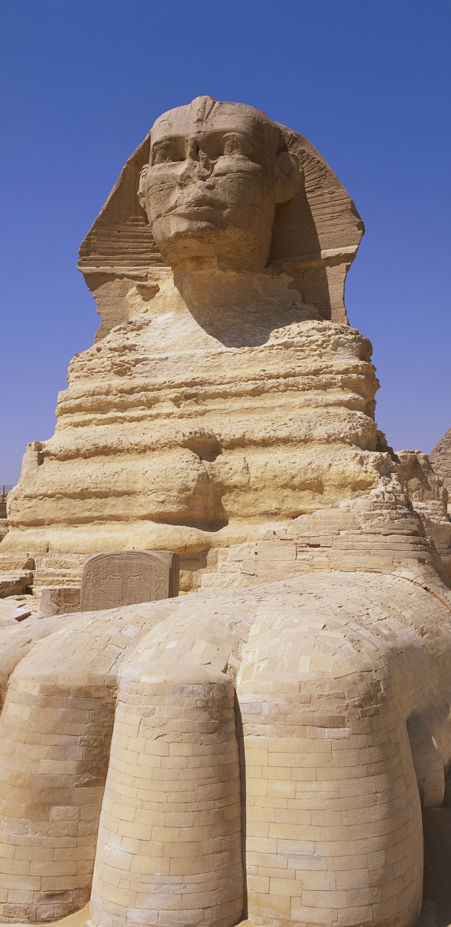 Обои Великий Сфинкс Гизы, египетская пирамида, пирамида, историческое место, древняя история в разрешении 1440x2960
