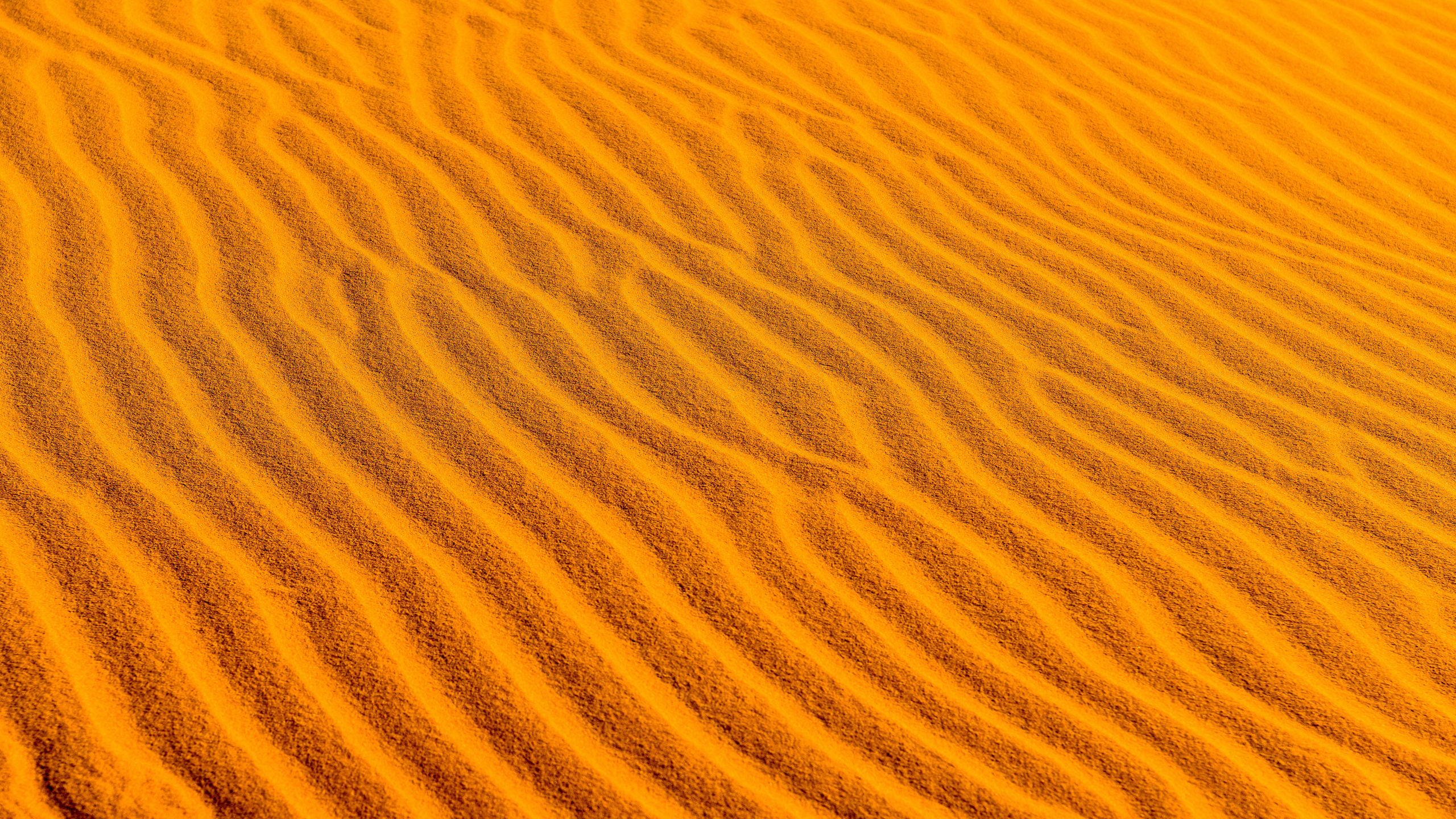 Обои пустыня, песок, Дюна, Апельсин, окружающая среда в разрешении 2560x1440