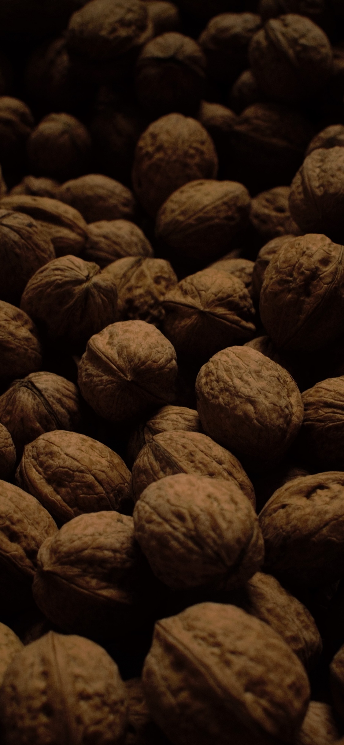 Обои грецкий орех, гайка, пища, растение, рок в разрешении 1125x2436