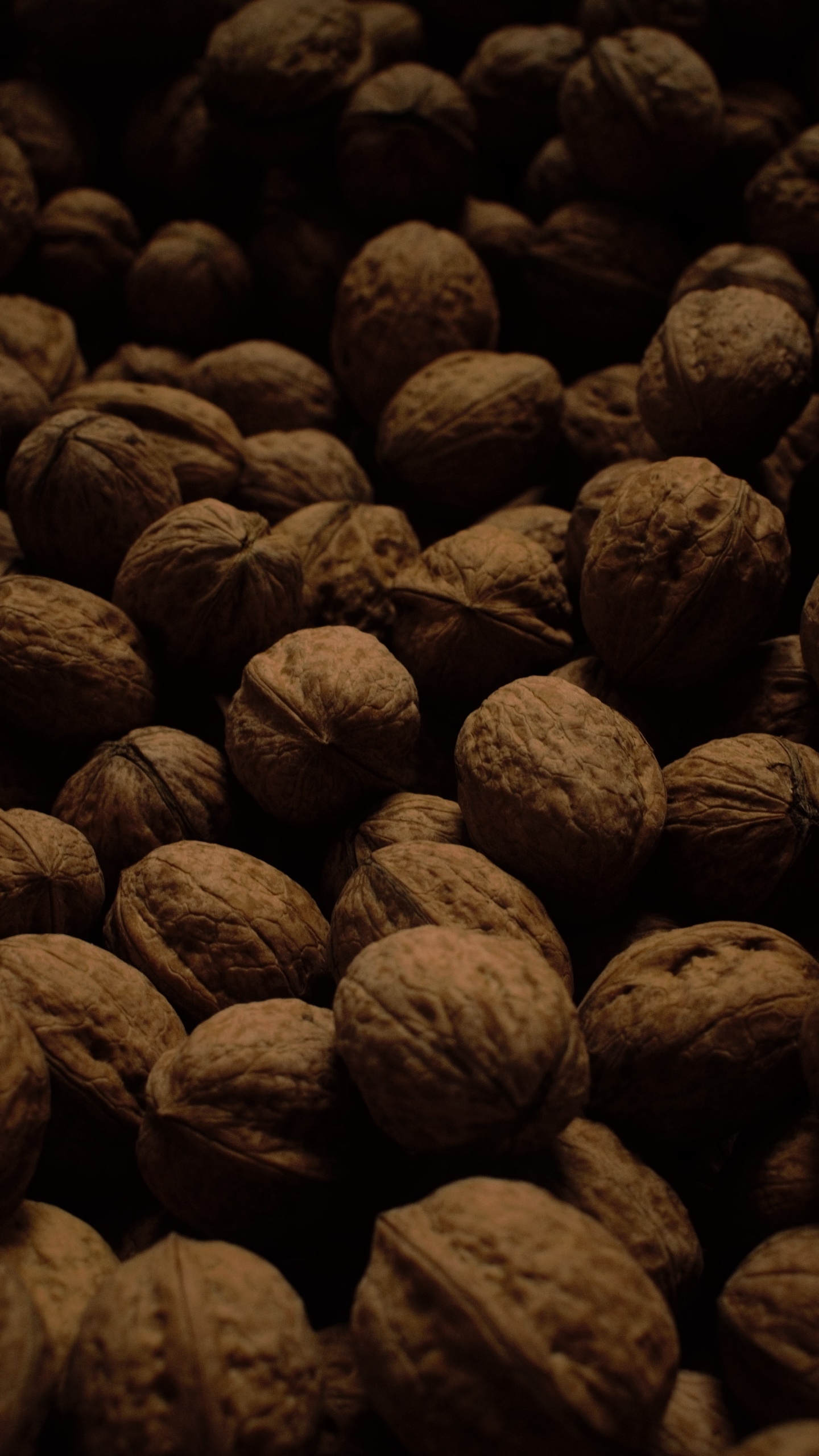 Обои грецкий орех, гайка, пища, растение, рок в разрешении 1440x2560