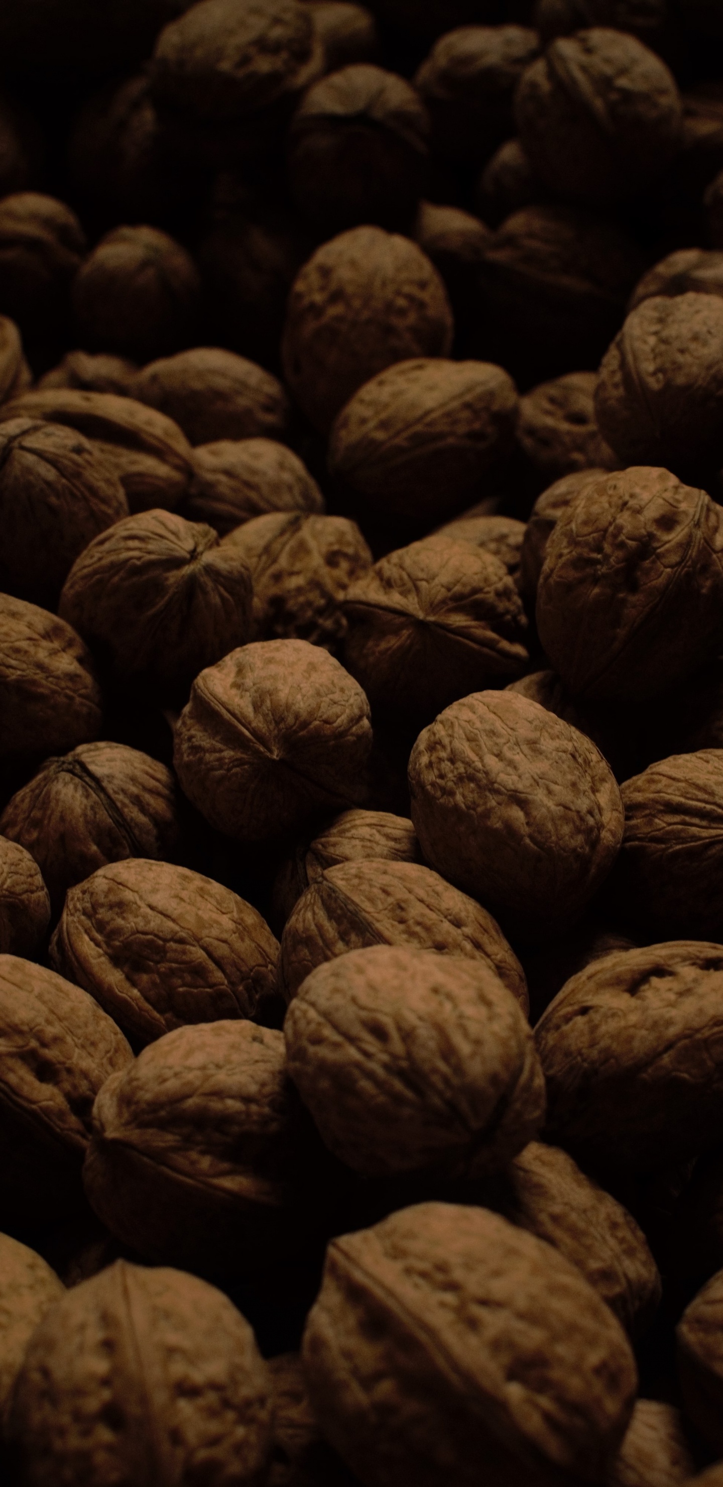 Обои грецкий орех, гайка, пища, растение, рок в разрешении 1440x2960