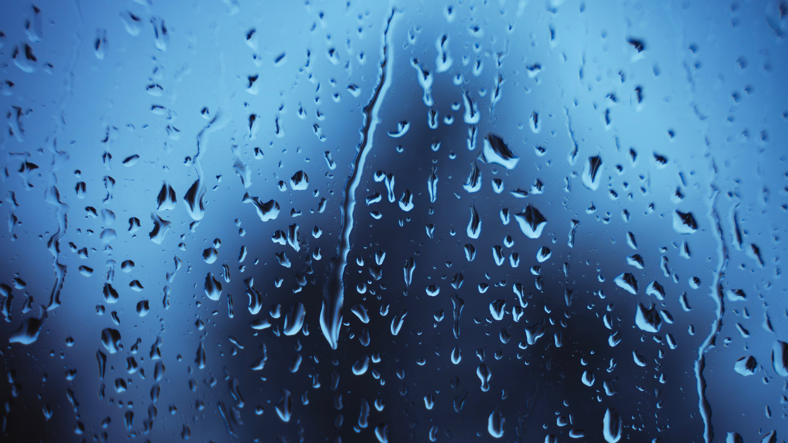 Обои синий, вода, падение, мелкий дождь, дождь в разрешении 2560x1440