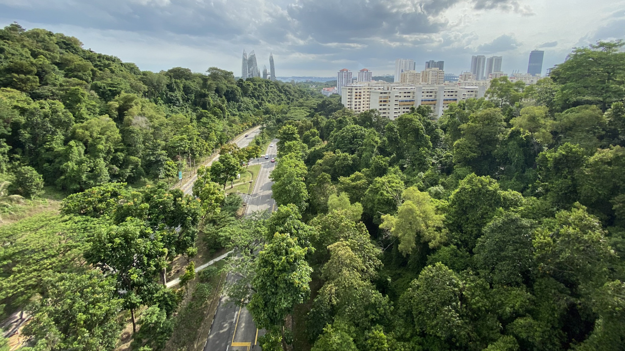 Обои растительность, природа, дневное время, облако, городской район в разрешении 1280x720