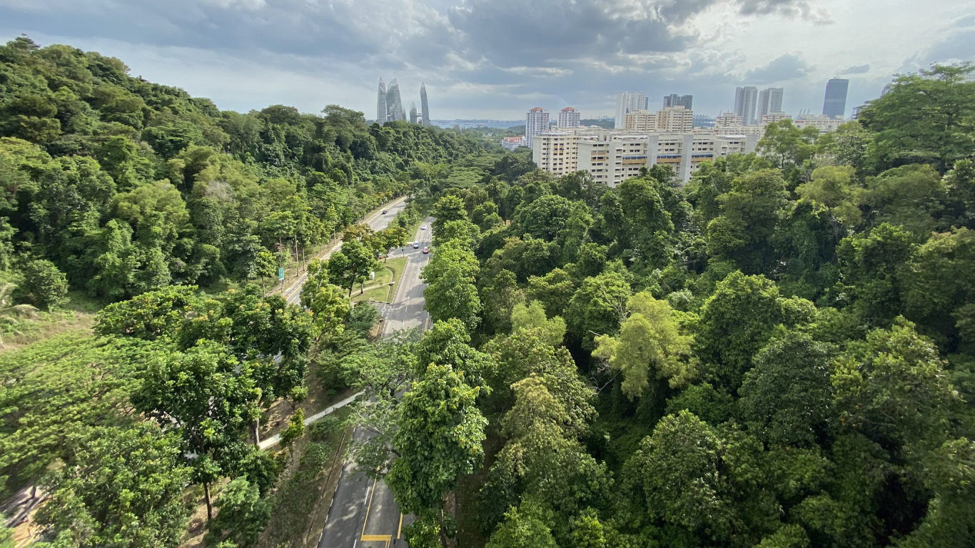 Обои растительность, природа, дневное время, облако, городской район в разрешении 1366x768