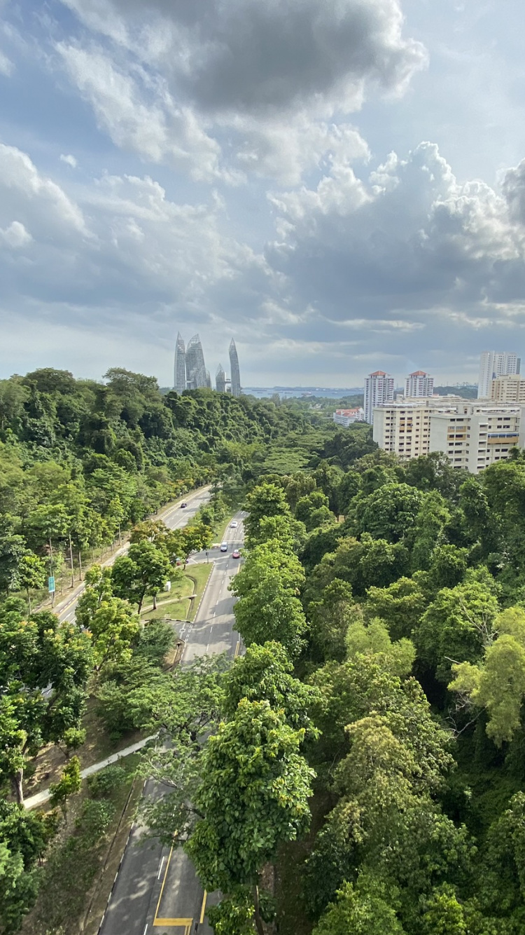 Обои растительность, природа, дневное время, облако, городской район в разрешении 750x1334