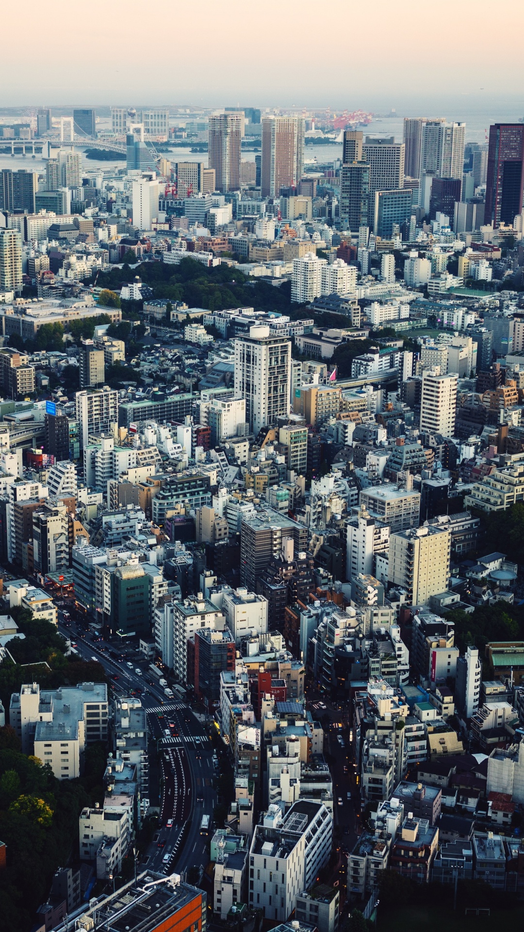 Обои Токио, городской пейзаж, город, метрополия, городской район в разрешении 1080x1920