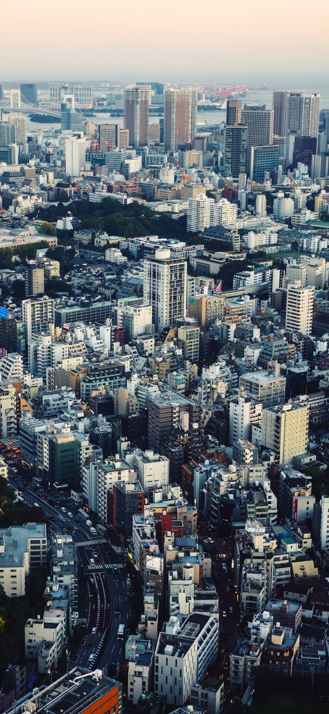 Обои Токио, городской пейзаж, город, метрополия, городской район в разрешении 1125x2436