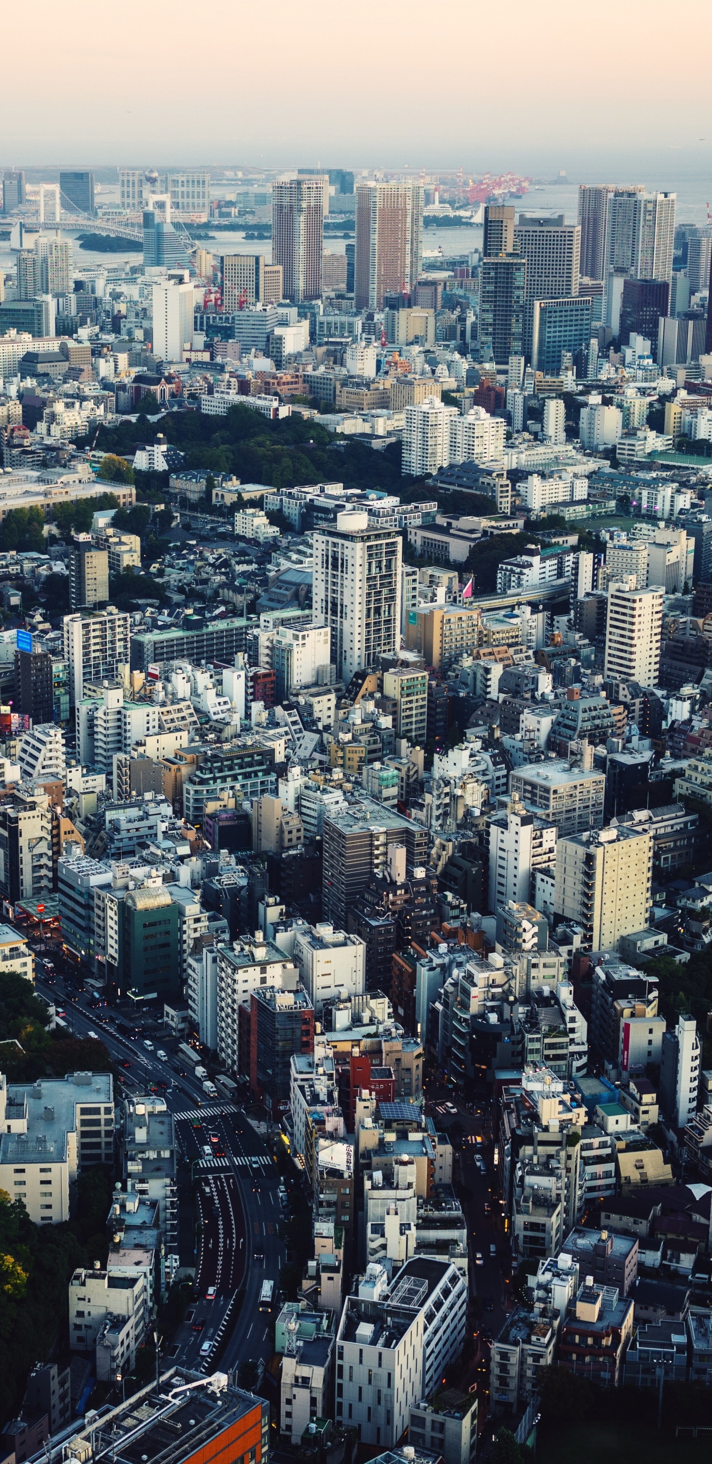 Обои Токио, городской пейзаж, город, метрополия, городской район в разрешении 1440x2960