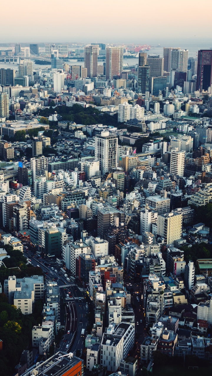Обои Токио, городской пейзаж, город, метрополия, городской район в разрешении 720x1280