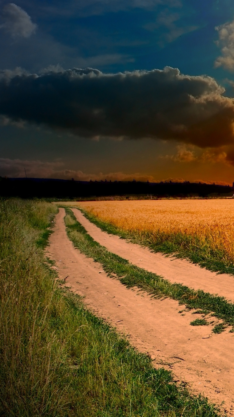 Обои природа, красота, поле, горизонт, послесвечение в разрешении 750x1334