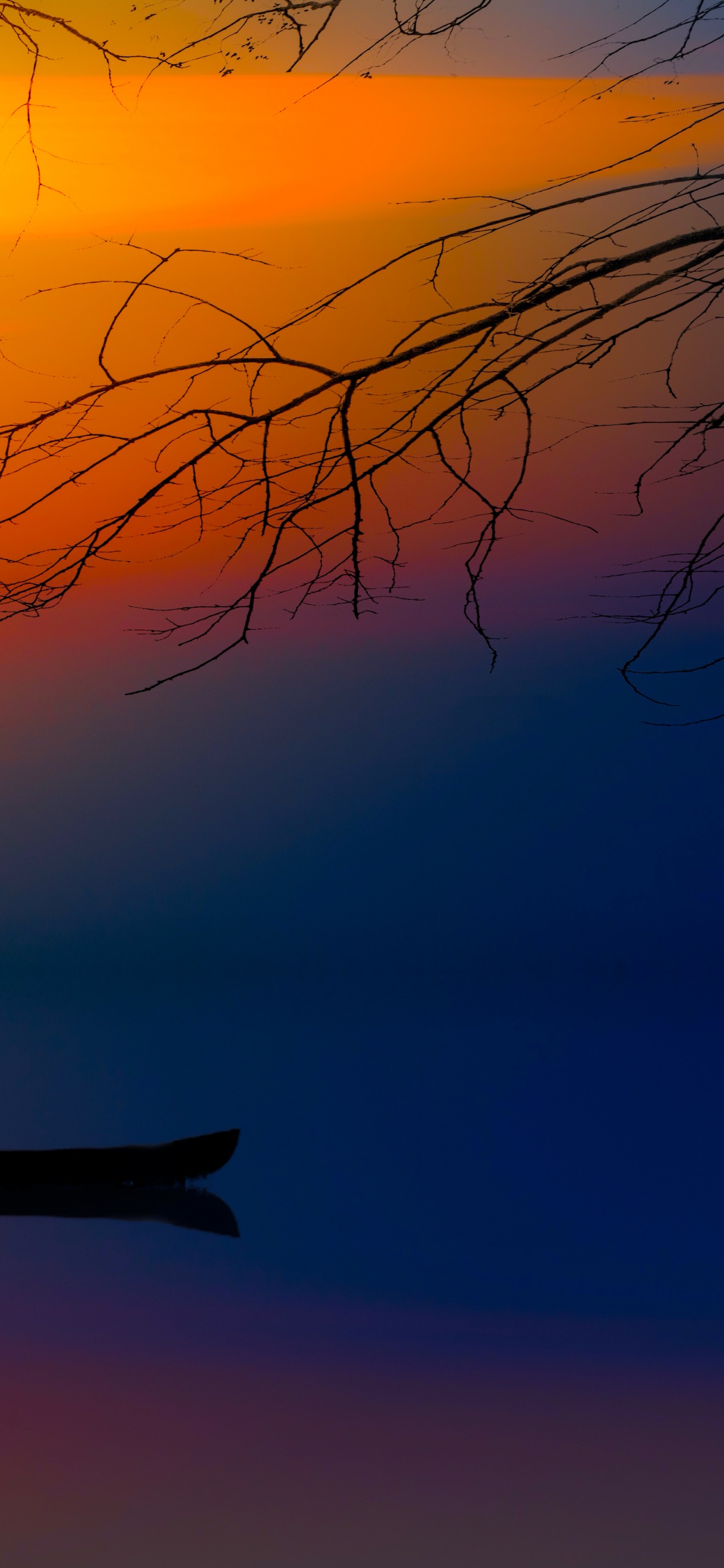 Обои атмосфера, дневное время, послесвечение, сумрак, ветвь в разрешении 1242x2688