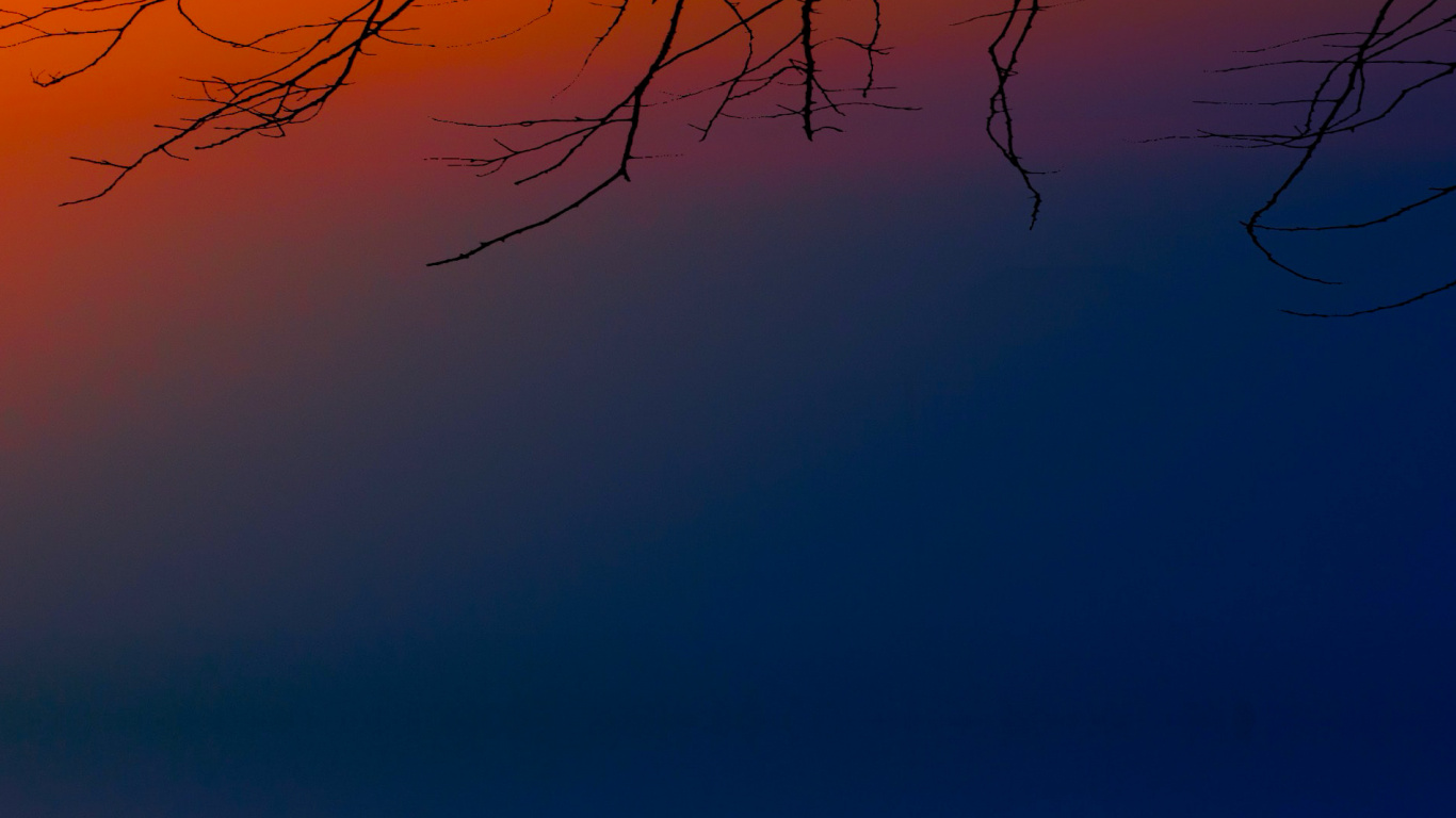 Обои атмосфера, дневное время, послесвечение, сумрак, ветвь в разрешении 1366x768