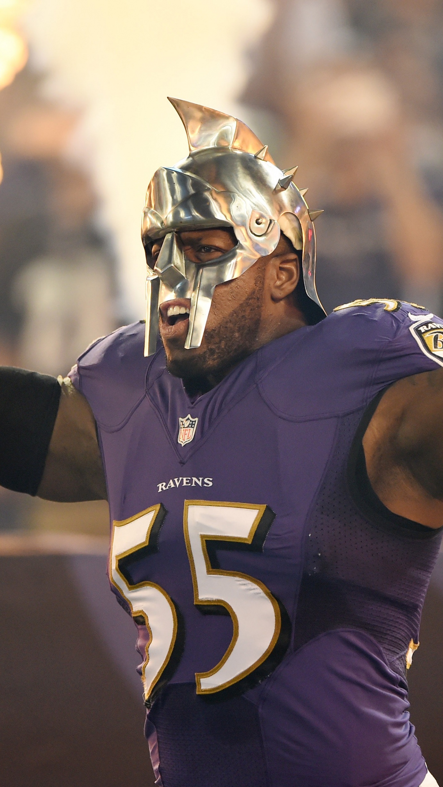 Обои Балтимор рэйвенс, Лига, американский футбол, соревнования, отдых в разрешении 1440x2560