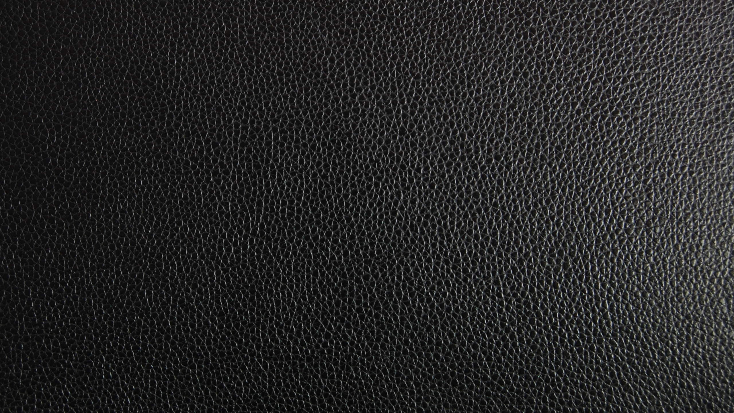 Обои черный, одежда, узор, бумажник, бумага в разрешении 2560x1440