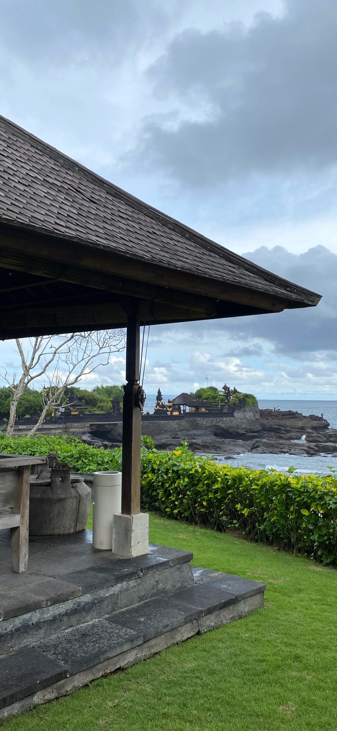 Обои вода, растение, почвопокровная, тень, сад в разрешении 1125x2436