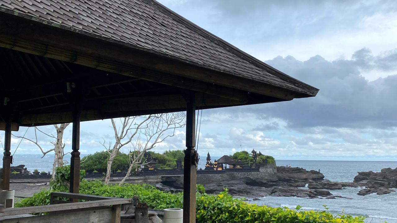 Обои вода, растение, почвопокровная, тень, сад в разрешении 1280x720