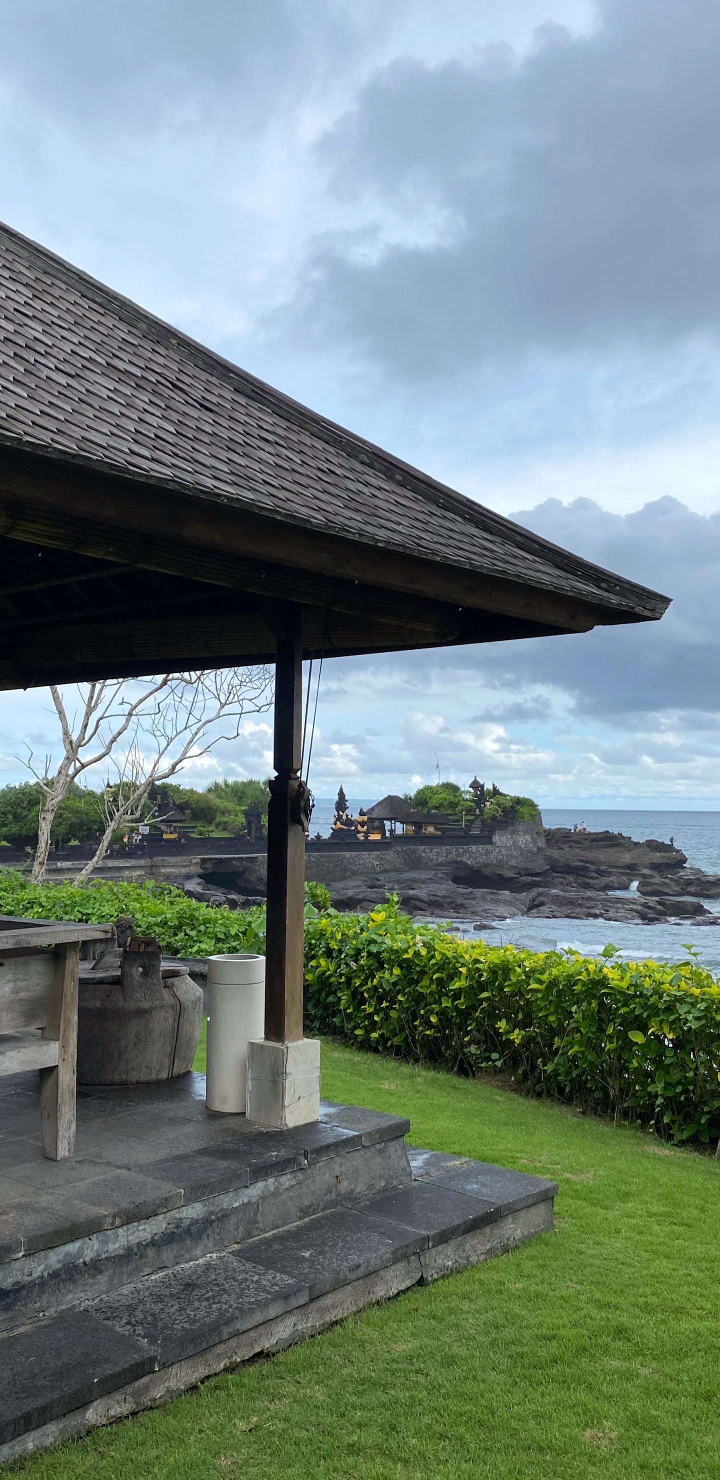 Обои вода, растение, почвопокровная, тень, сад в разрешении 1440x2960