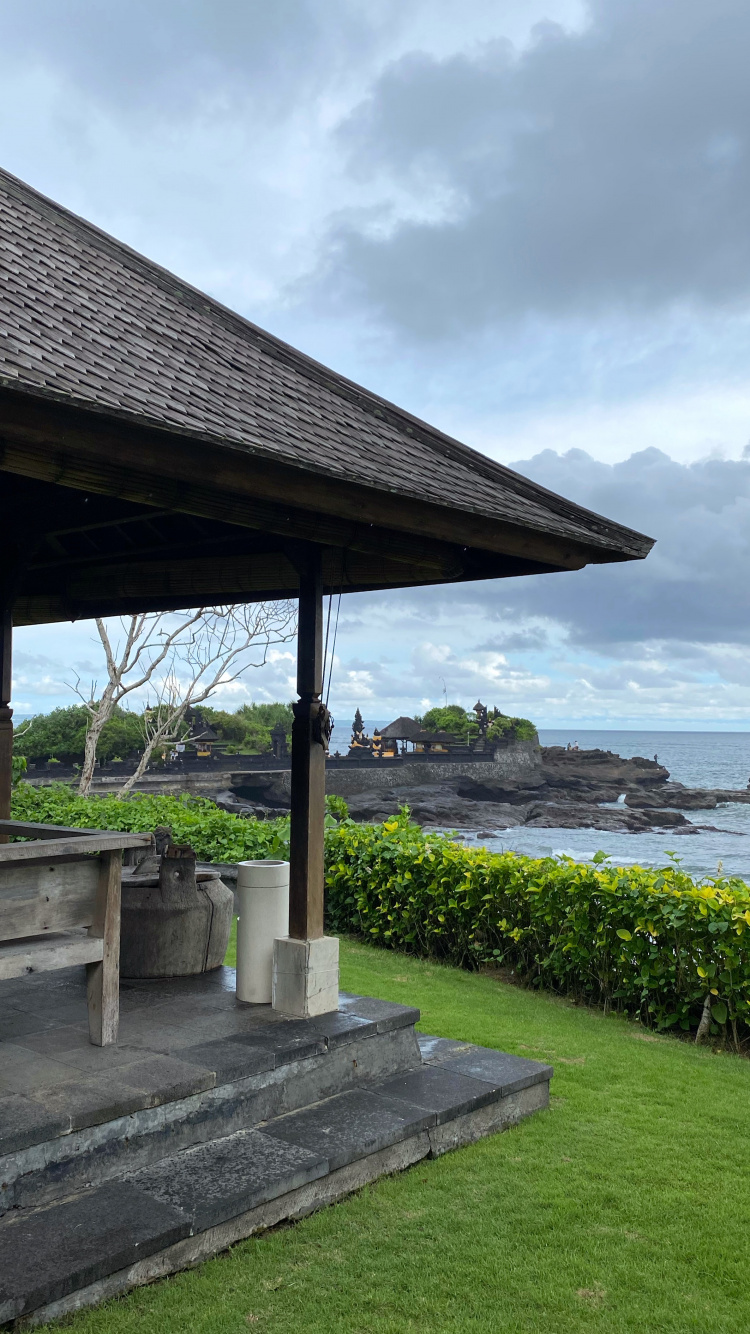 Обои вода, растение, почвопокровная, тень, сад в разрешении 750x1334