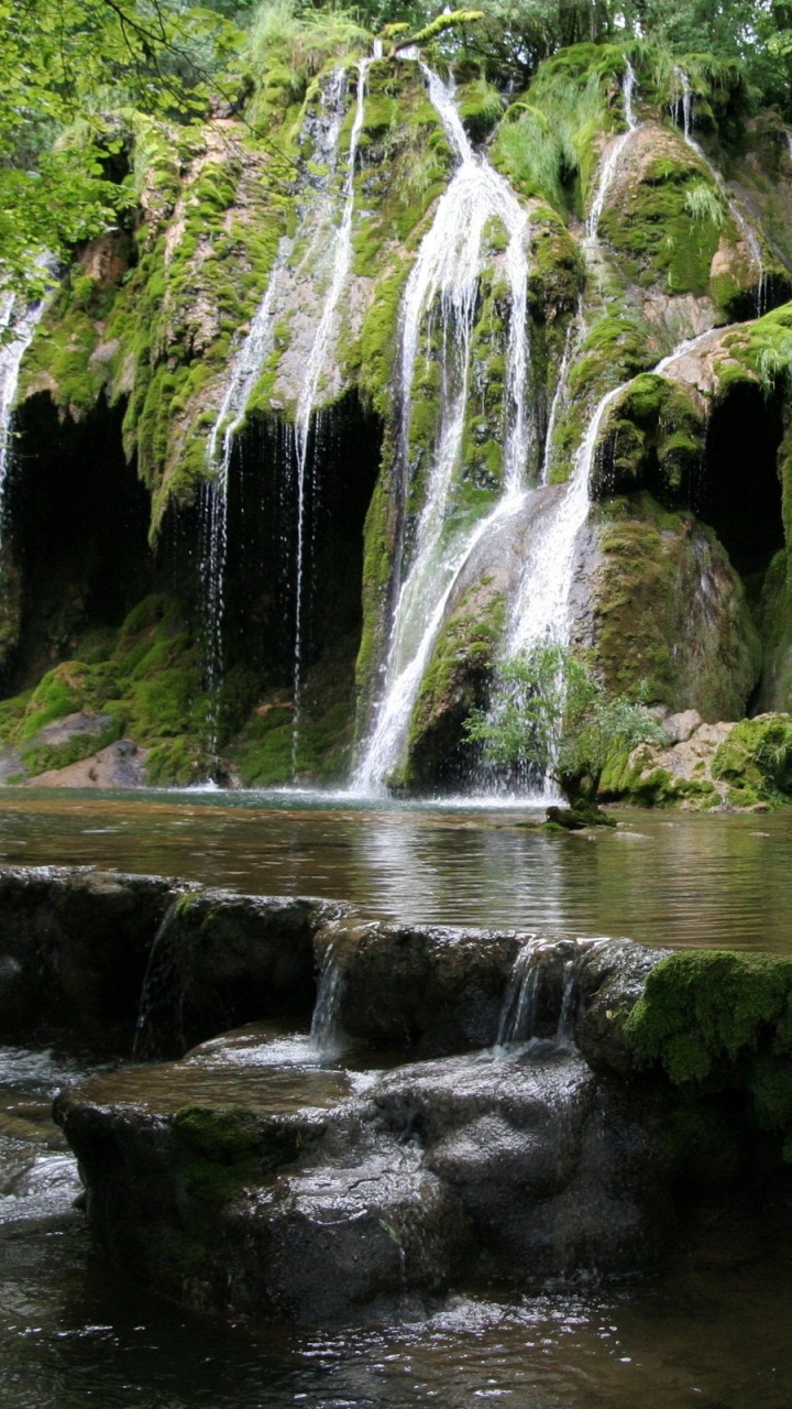 Обои Батумский Ботанический Сад, парк, национальный парк, природный заповедник, водоем в разрешении 720x1280