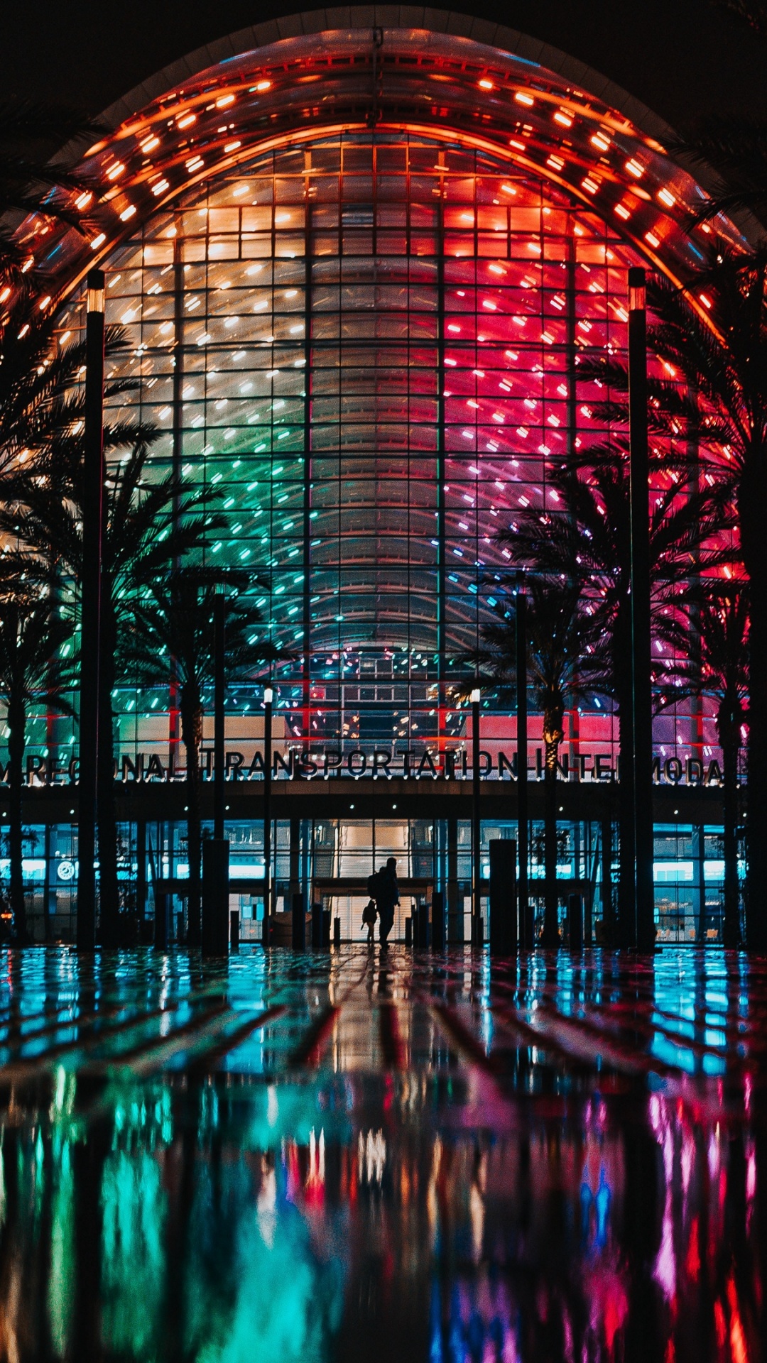 Обои здание, растение, свет, вода, электричество в разрешении 1080x1920