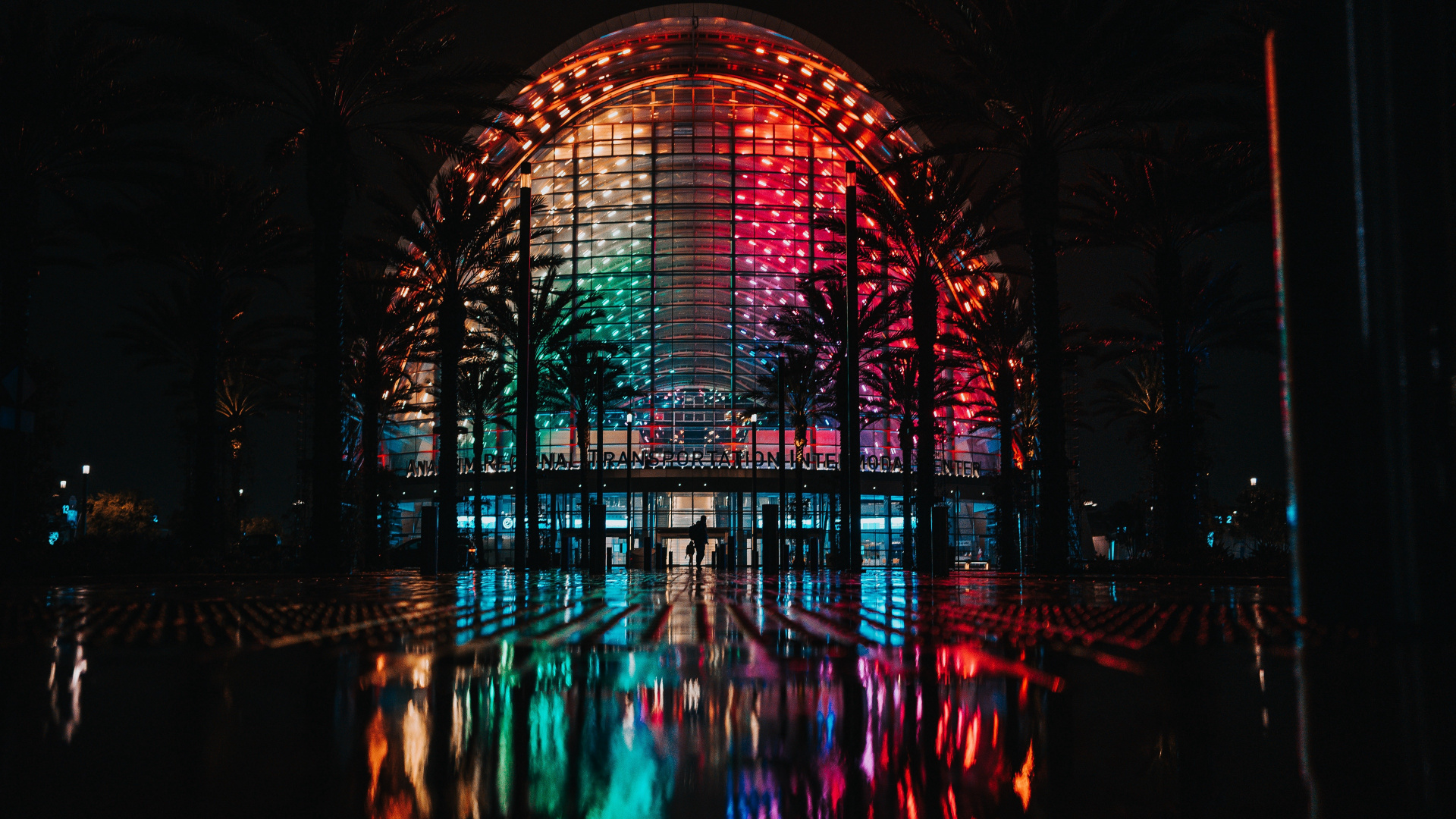 Обои здание, растение, свет, вода, электричество в разрешении 1920x1080