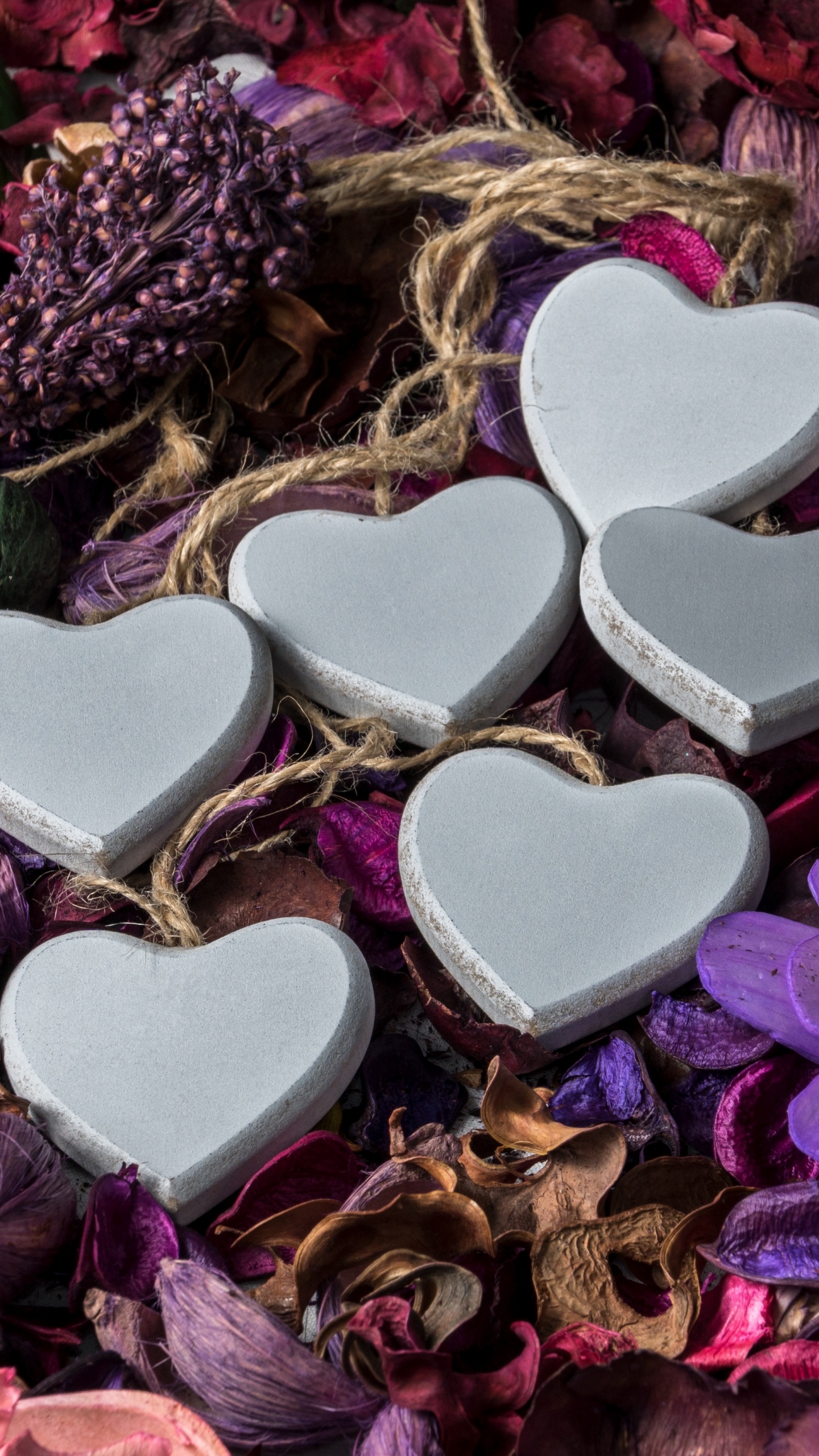 Обои сердце, пурпур, лепесток, сердце цветы, сирень в разрешении 1440x2560