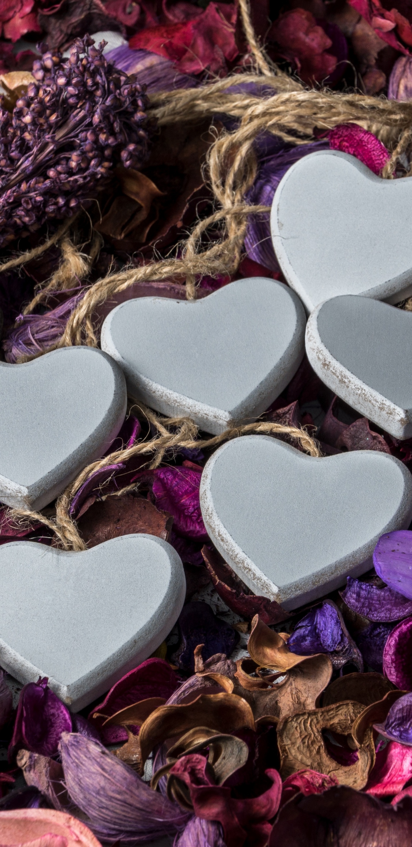 Обои сердце, пурпур, лепесток, сердце цветы, сирень в разрешении 1440x2960