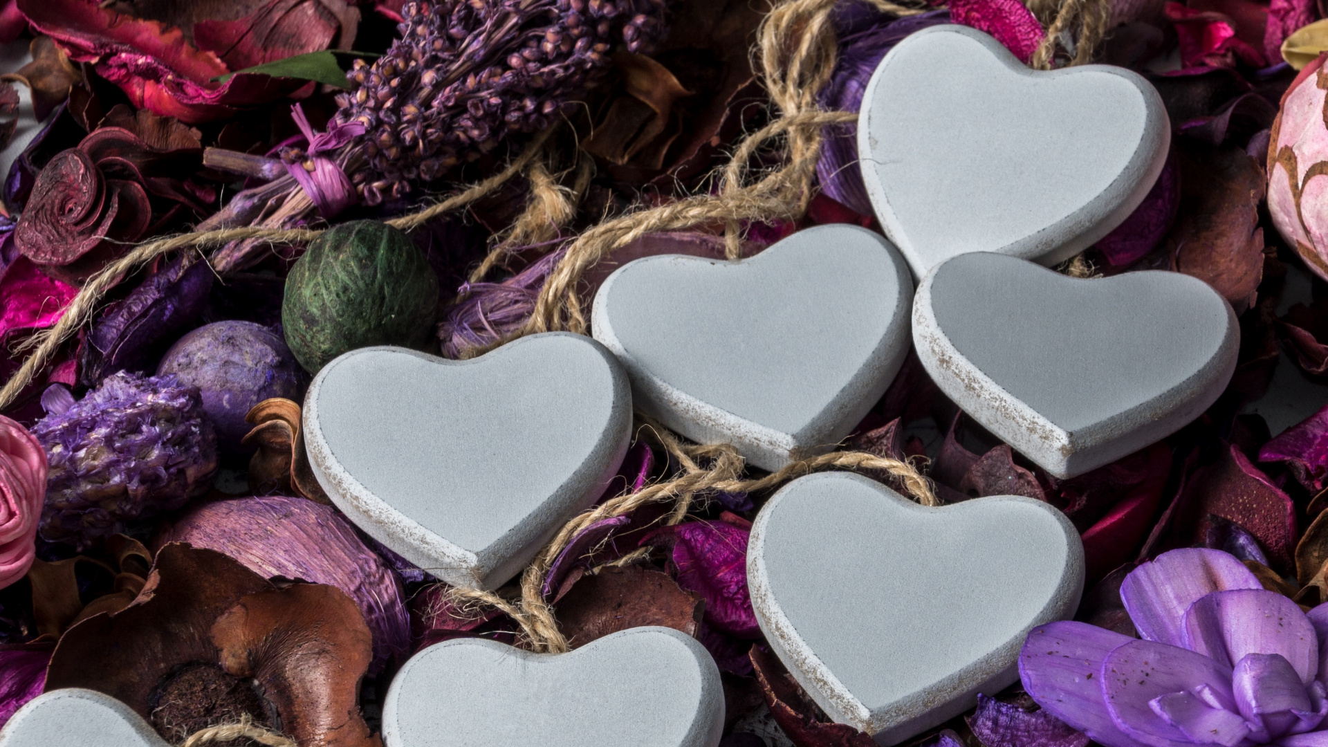 Обои сердце, пурпур, лепесток, сердце цветы, сирень в разрешении 1920x1080