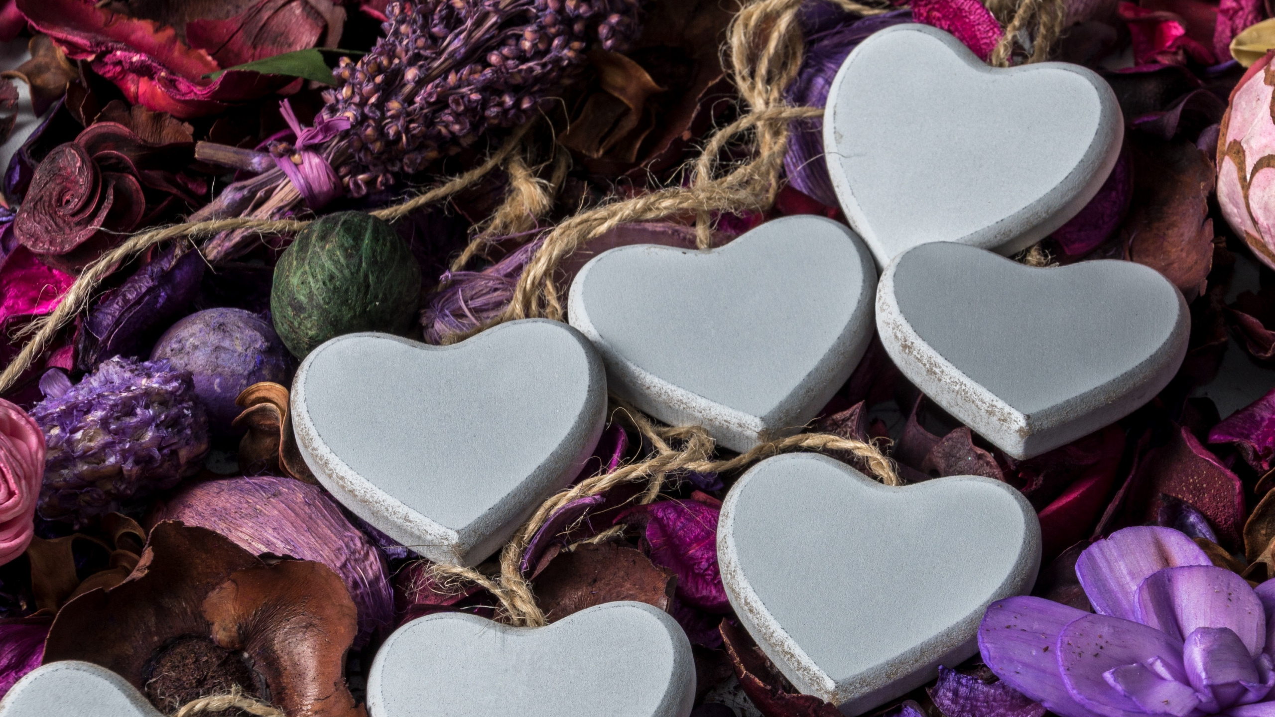 Обои сердце, пурпур, лепесток, сердце цветы, сирень в разрешении 2560x1440