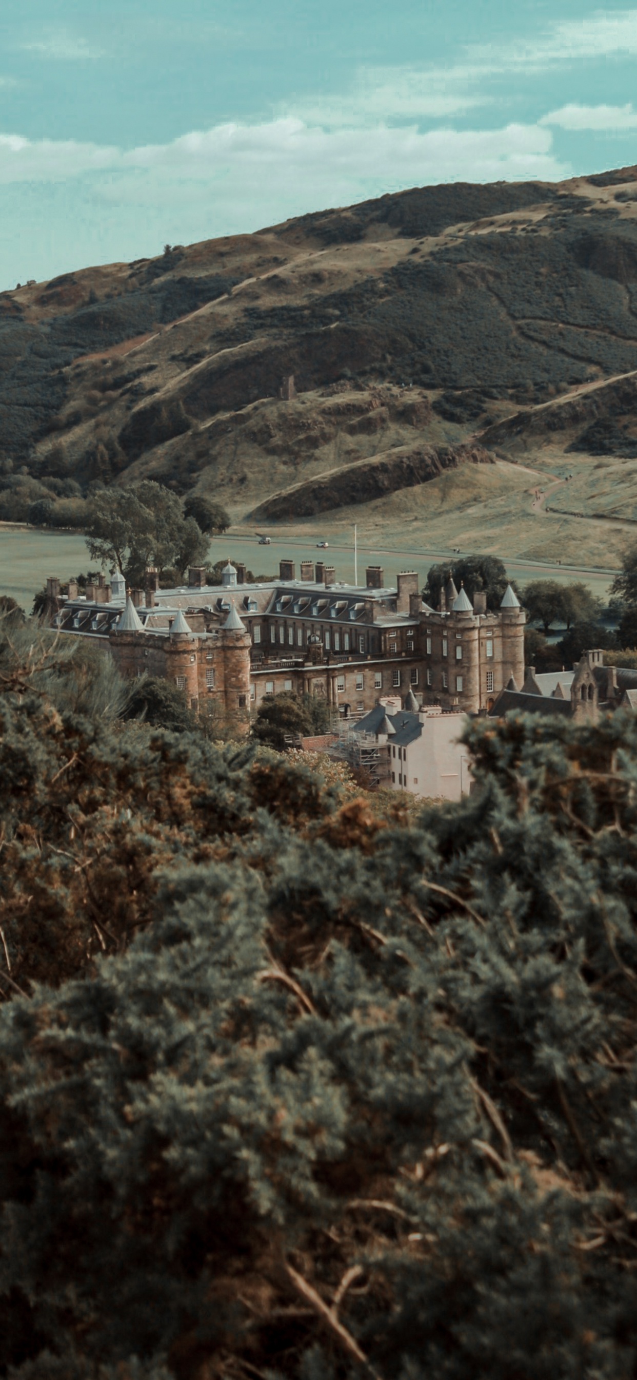 Обои развалины, холм, деревня, дерево, пейзаж в разрешении 1242x2688