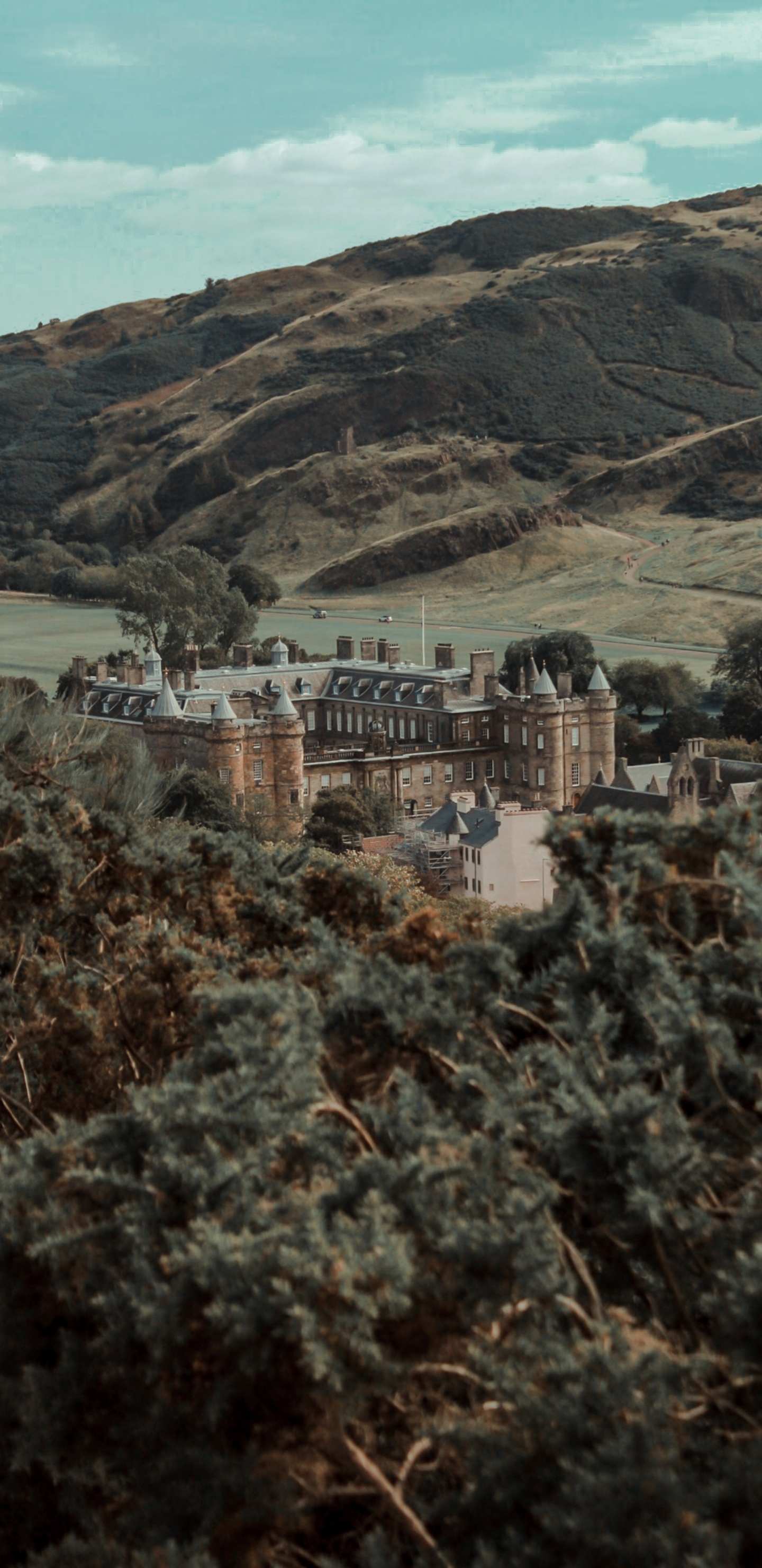 Обои развалины, холм, деревня, дерево, пейзаж в разрешении 1440x2960