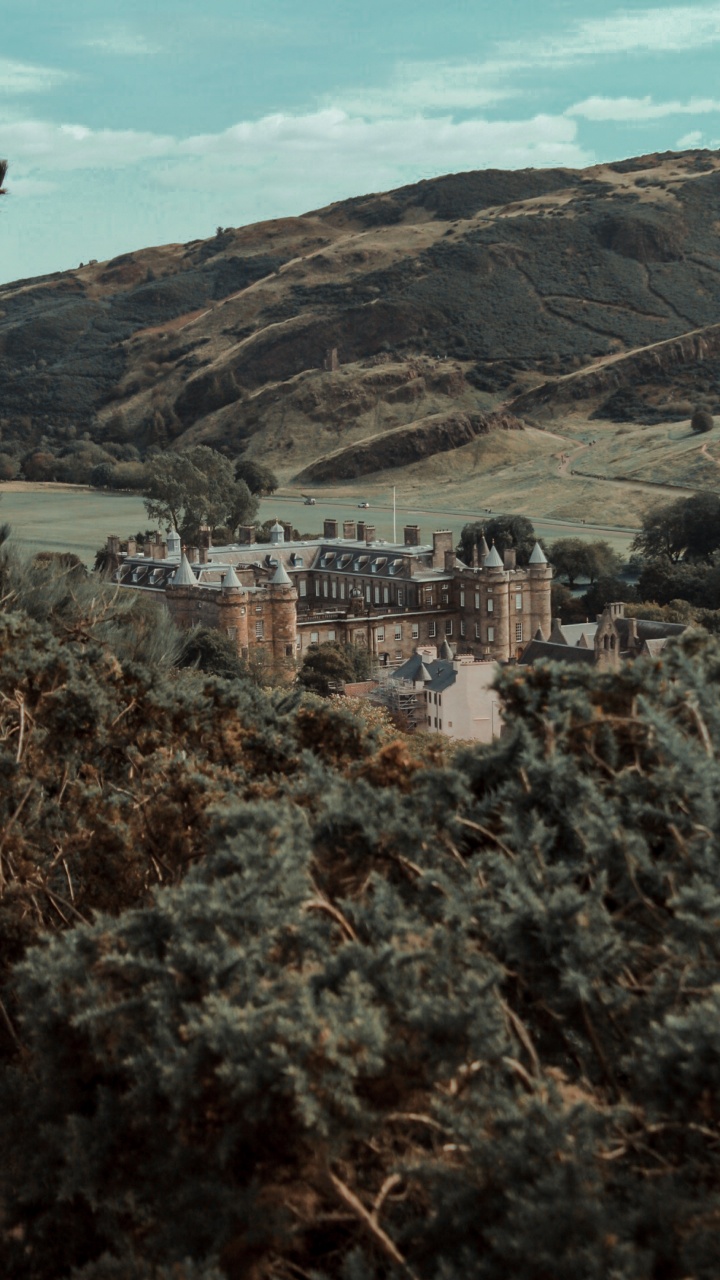 Обои развалины, холм, деревня, дерево, пейзаж в разрешении 720x1280