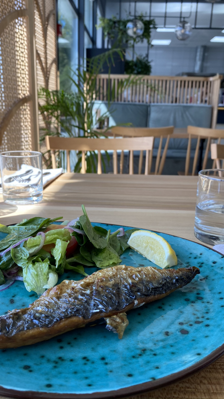 Обои рыба, блюда, поздний завтрак, наука, биология в разрешении 750x1334