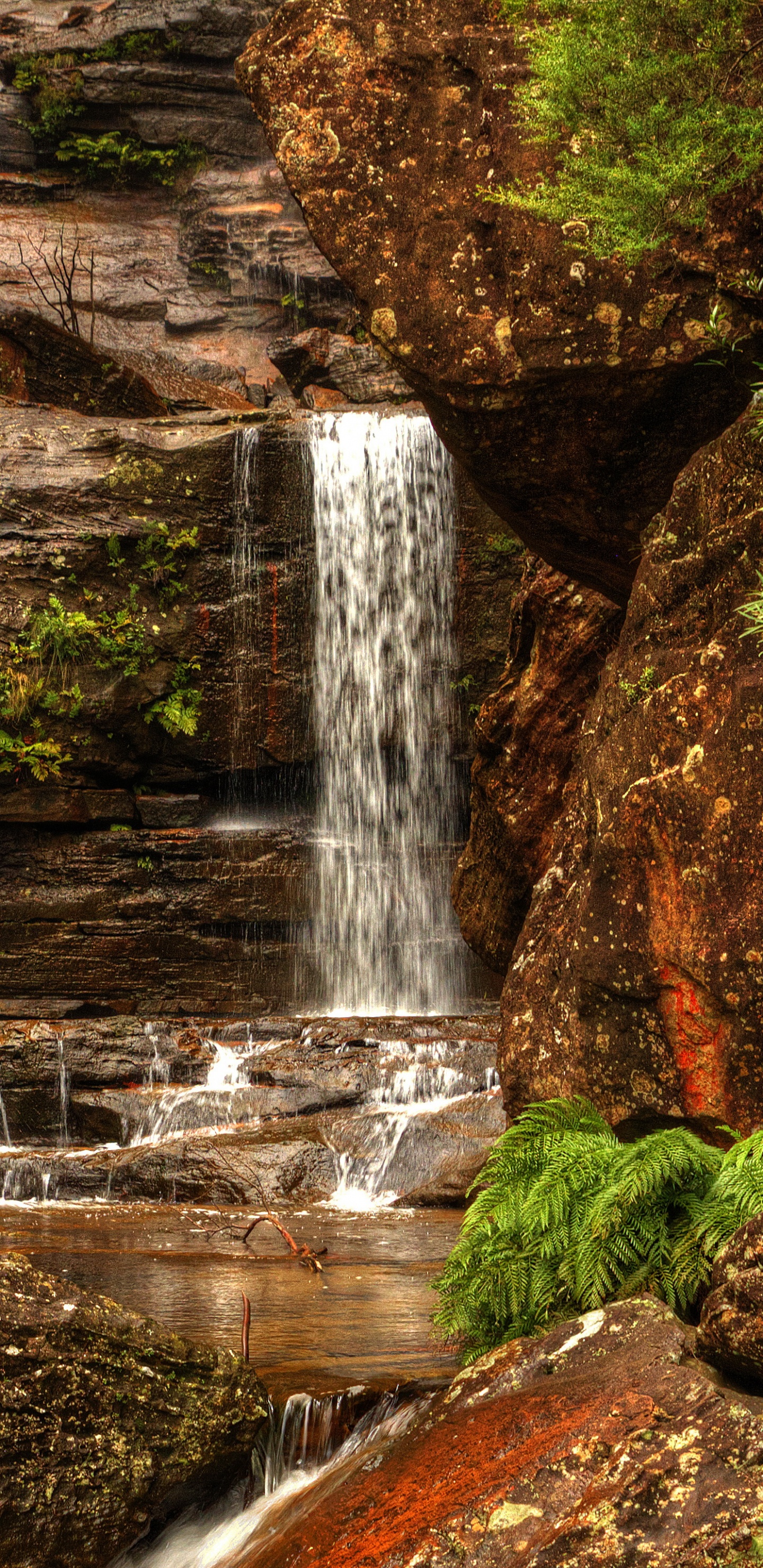 Обои природа, водопад, водоток, природный заповедник, обрыв в разрешении 1440x2960