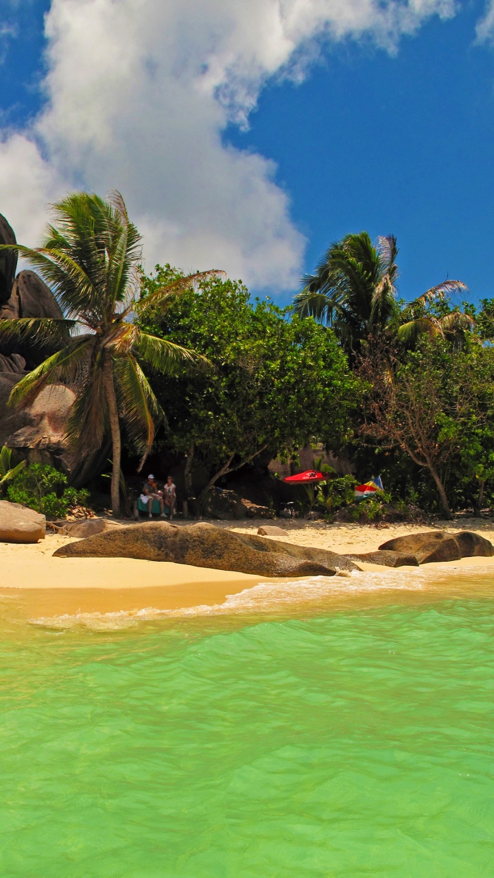 Обои ла диг, пляж, море, побережье, тропическая зона в разрешении 720x1280