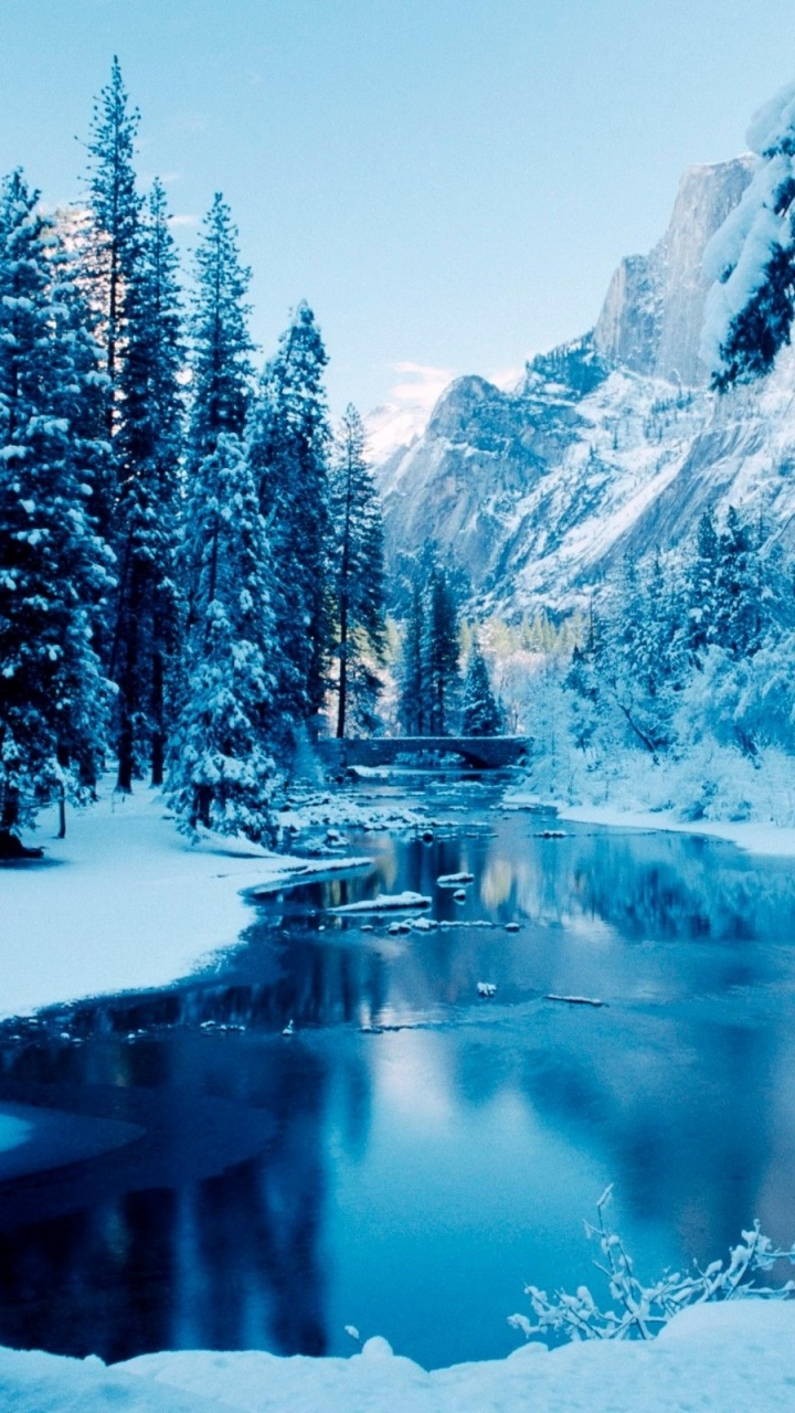 Обои снег, зима, природа, дерево, вода в разрешении 720x1280