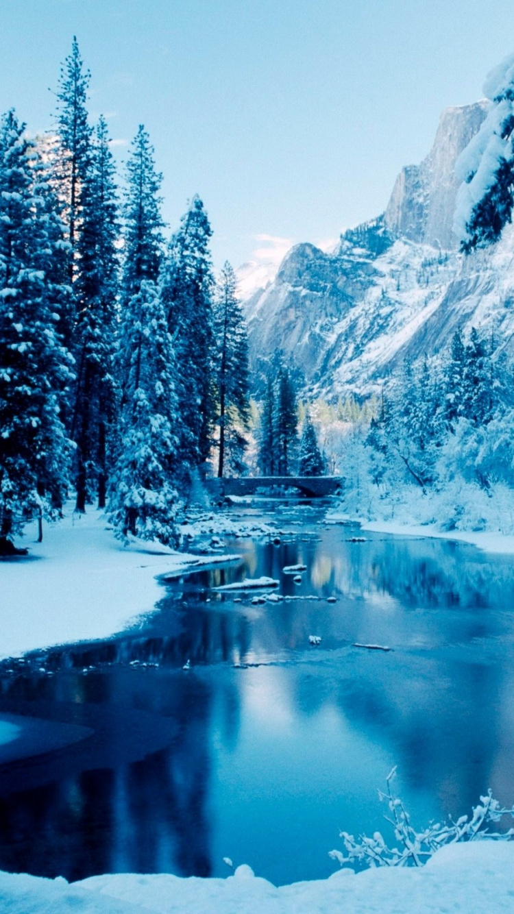 Обои снег, зима, природа, дерево, вода в разрешении 750x1334