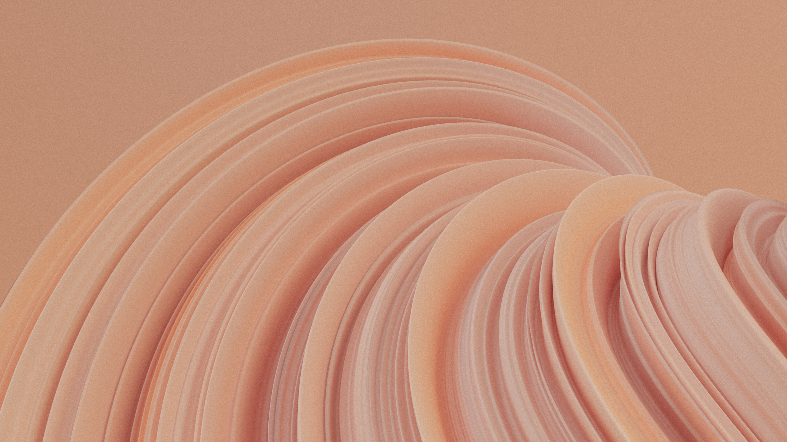 Обои посуда, древесина, автомобильные шины, пейзаж, круг в разрешении 2560x1440