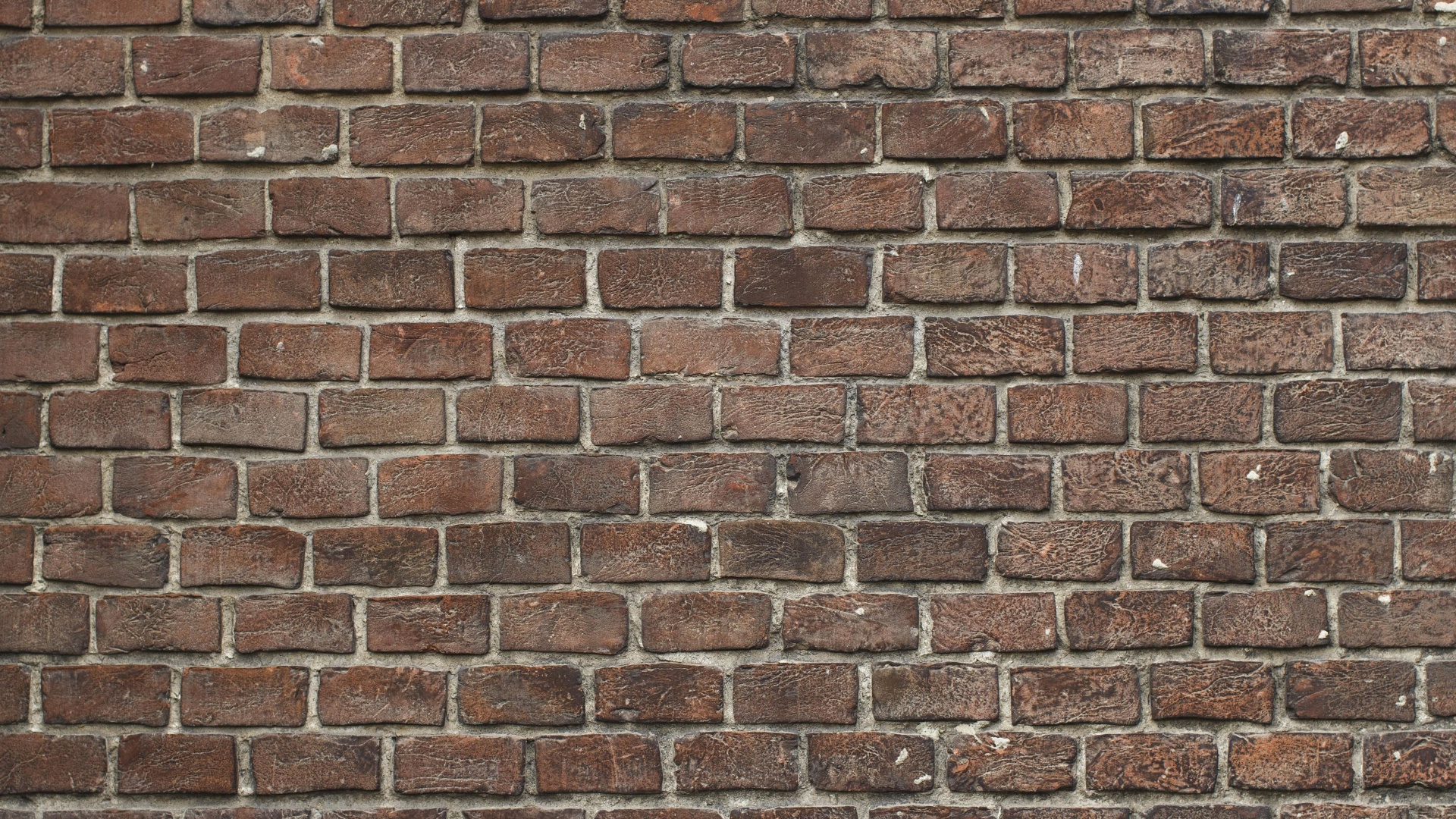 Обои каменная стена, стена, кирпичная кладка, кирпич, каменщик в разрешении 1920x1080