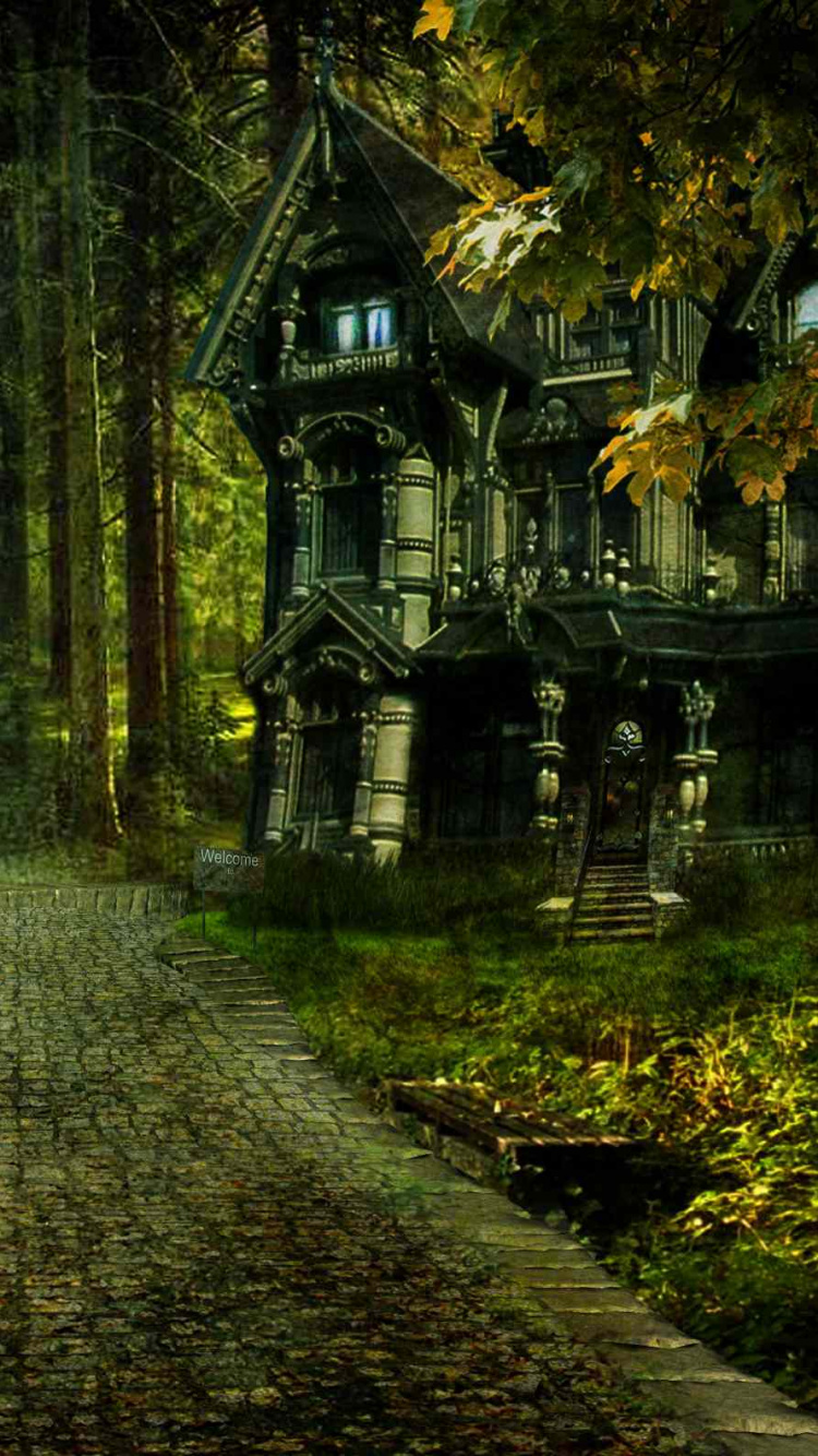 Обои природа, дерево, лес, растительность, лесистая местность в разрешении 750x1334